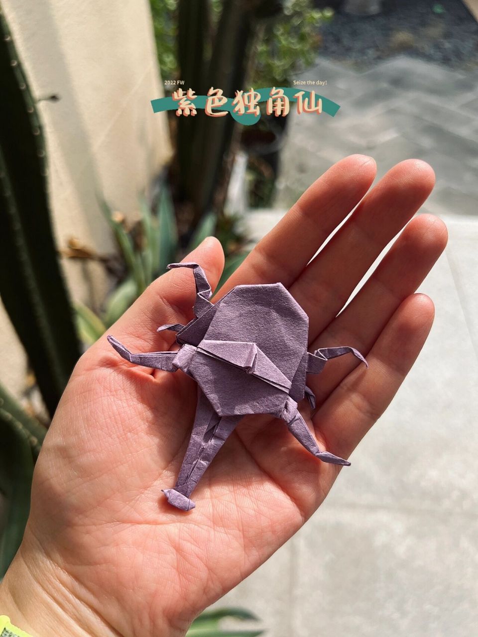 折纸五角犀金龟图片