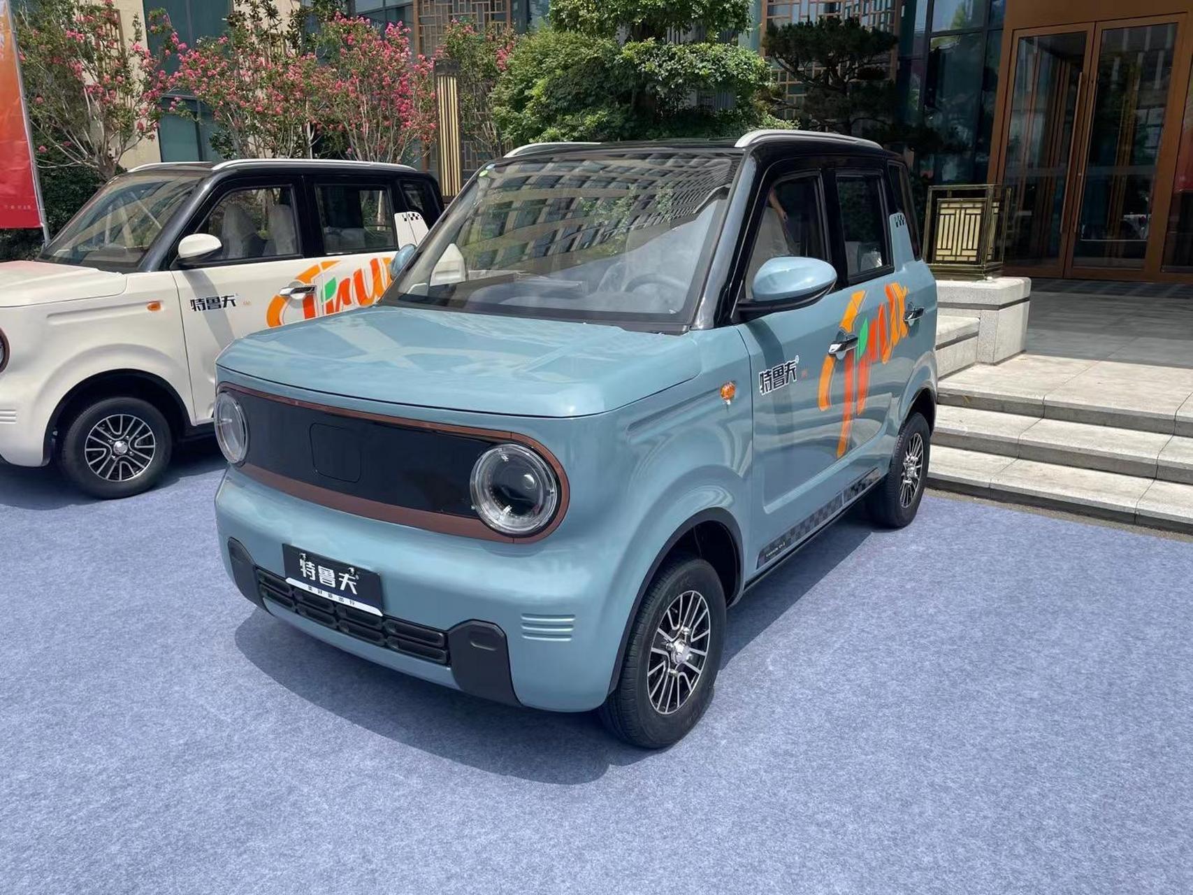 特鲁夫m6小熊猫,四轮低速电动车