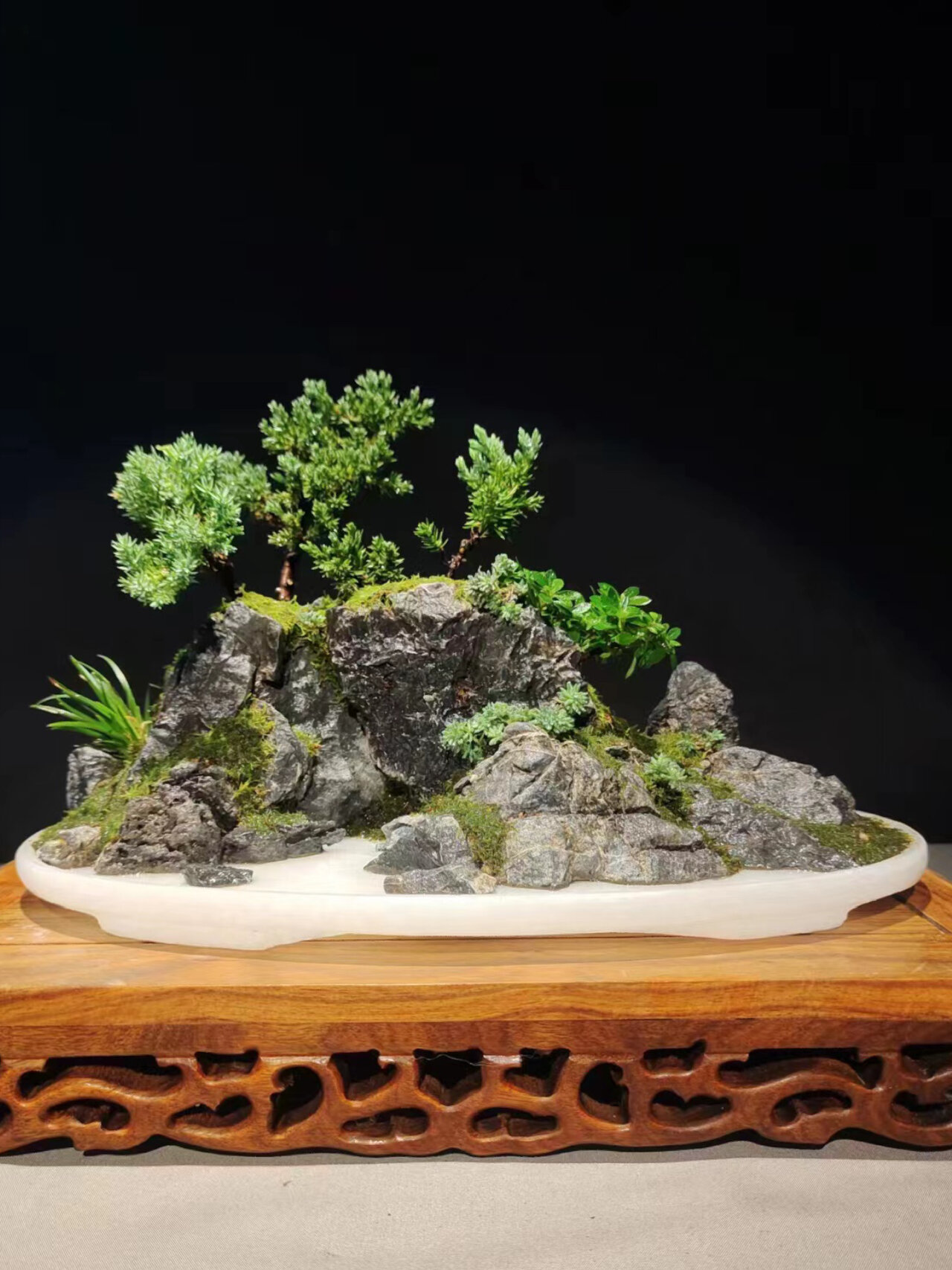 水旱盆老传统山水盆景