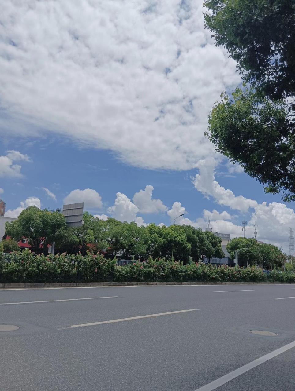 如果有人给你发天空的照片代表他想你了 晓看天色暮看云 行也思君,坐