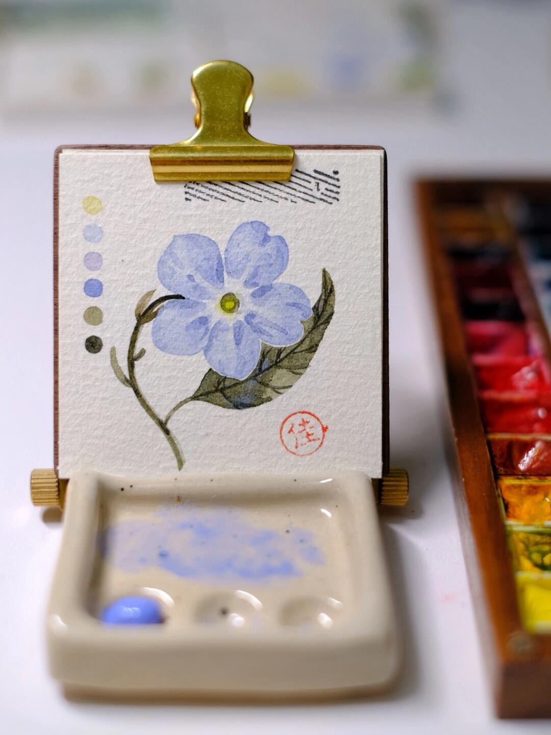 写生日常:水彩蓝色勿忘我