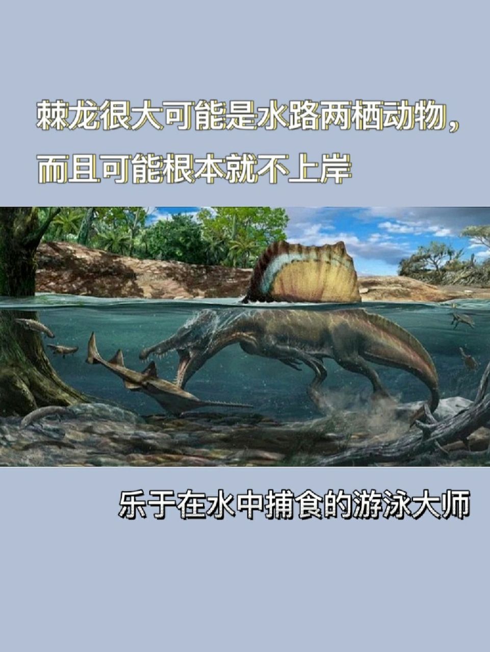 会游泳的恐龙-棘龙 加拿大皇家泰瑞尔博物馆的古生物学家donald