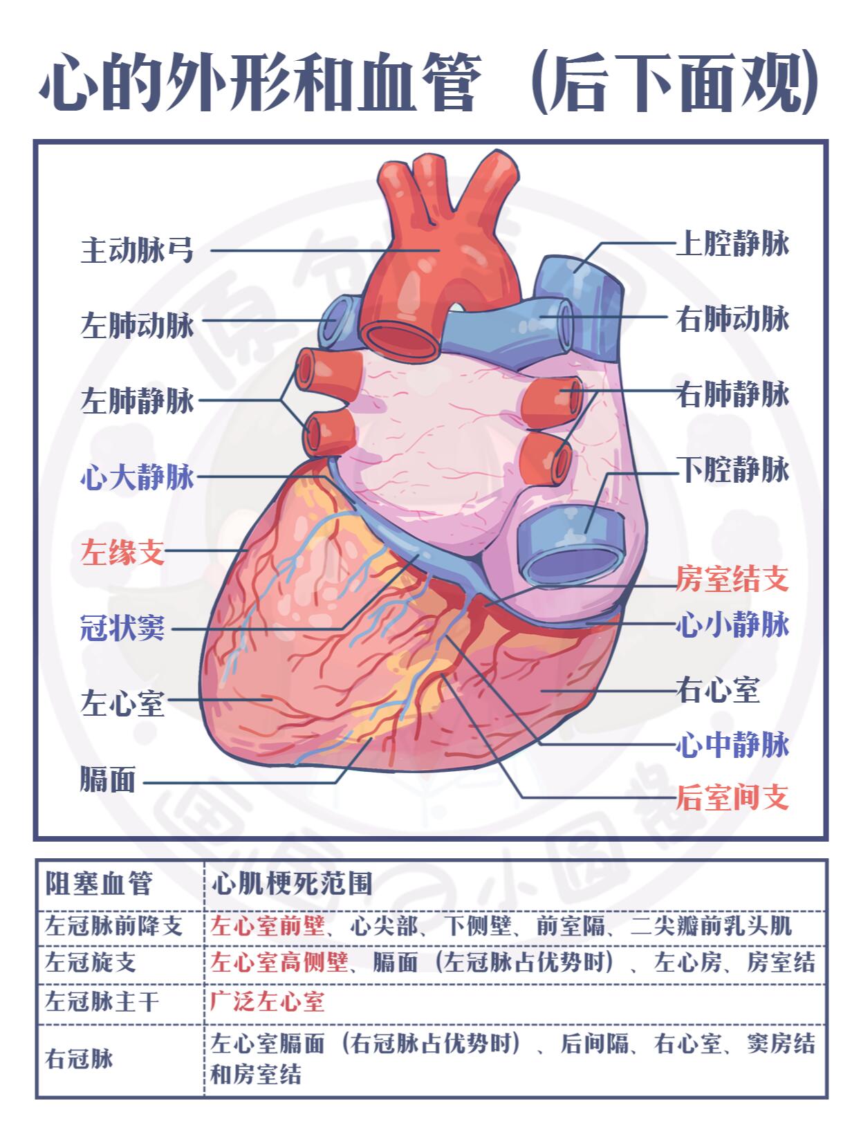 手绘笔记