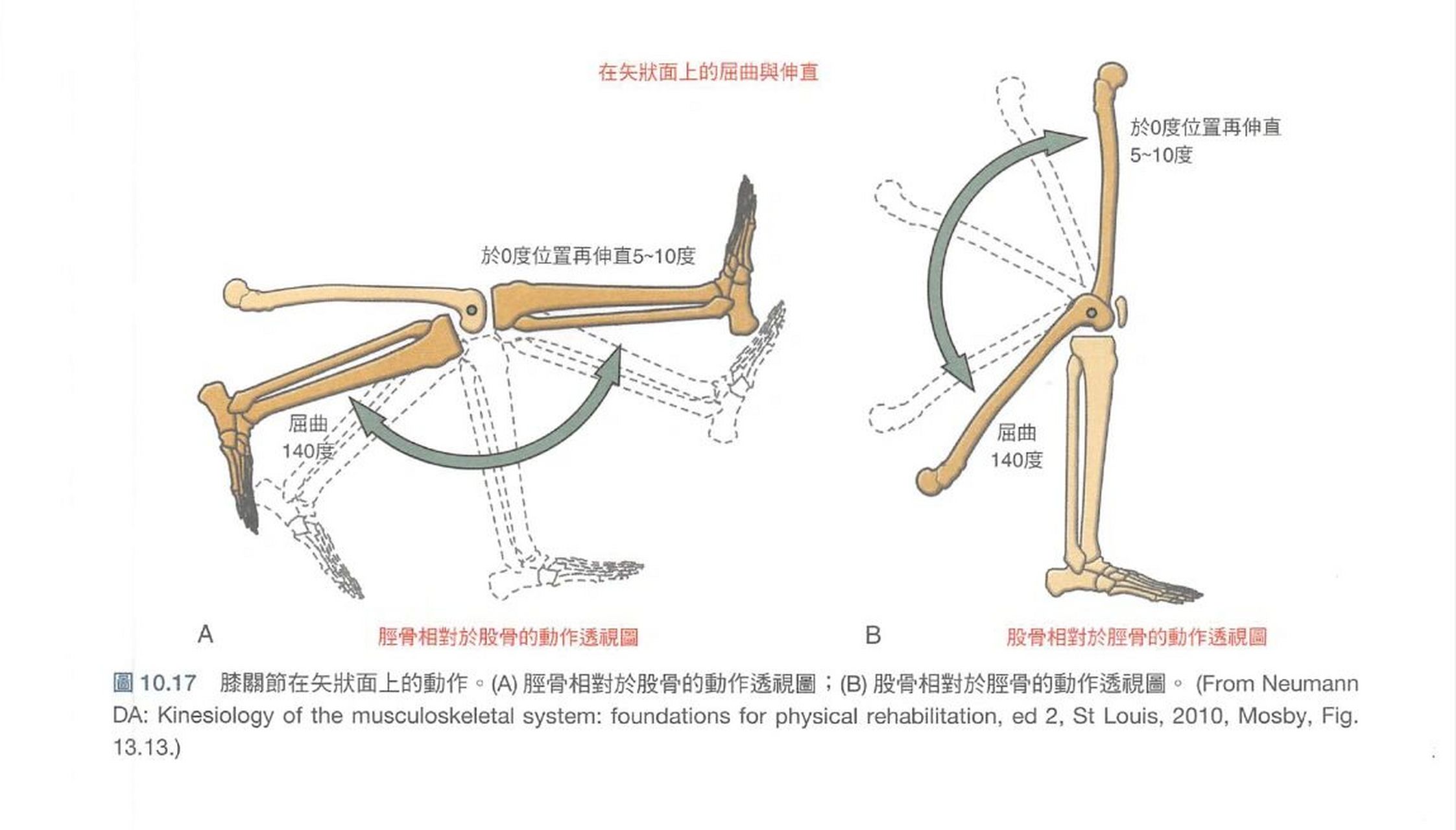 膝关节屈曲角度示意图图片