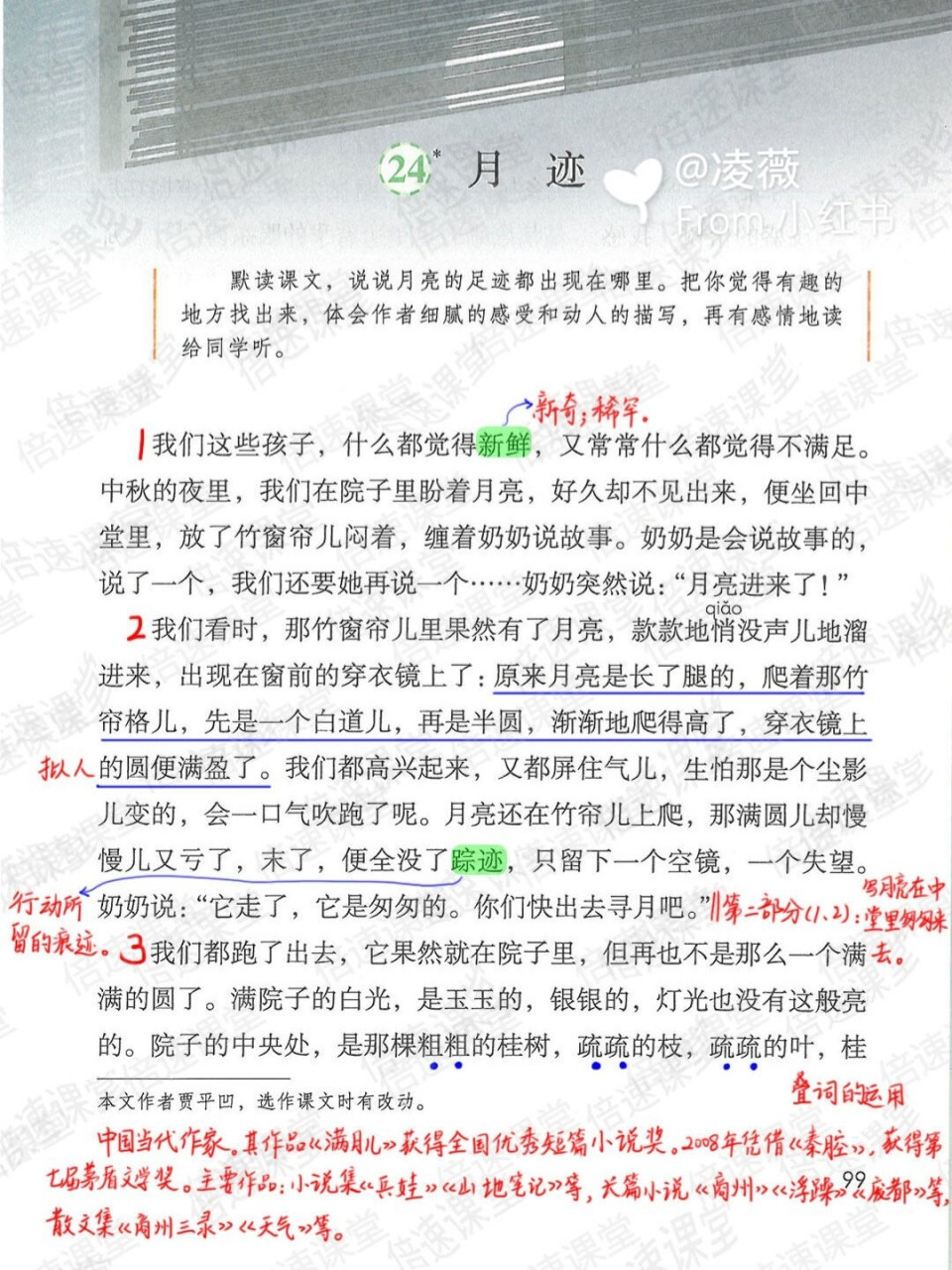 五年级上册|部编版语文|第24课月迹|预习笔记