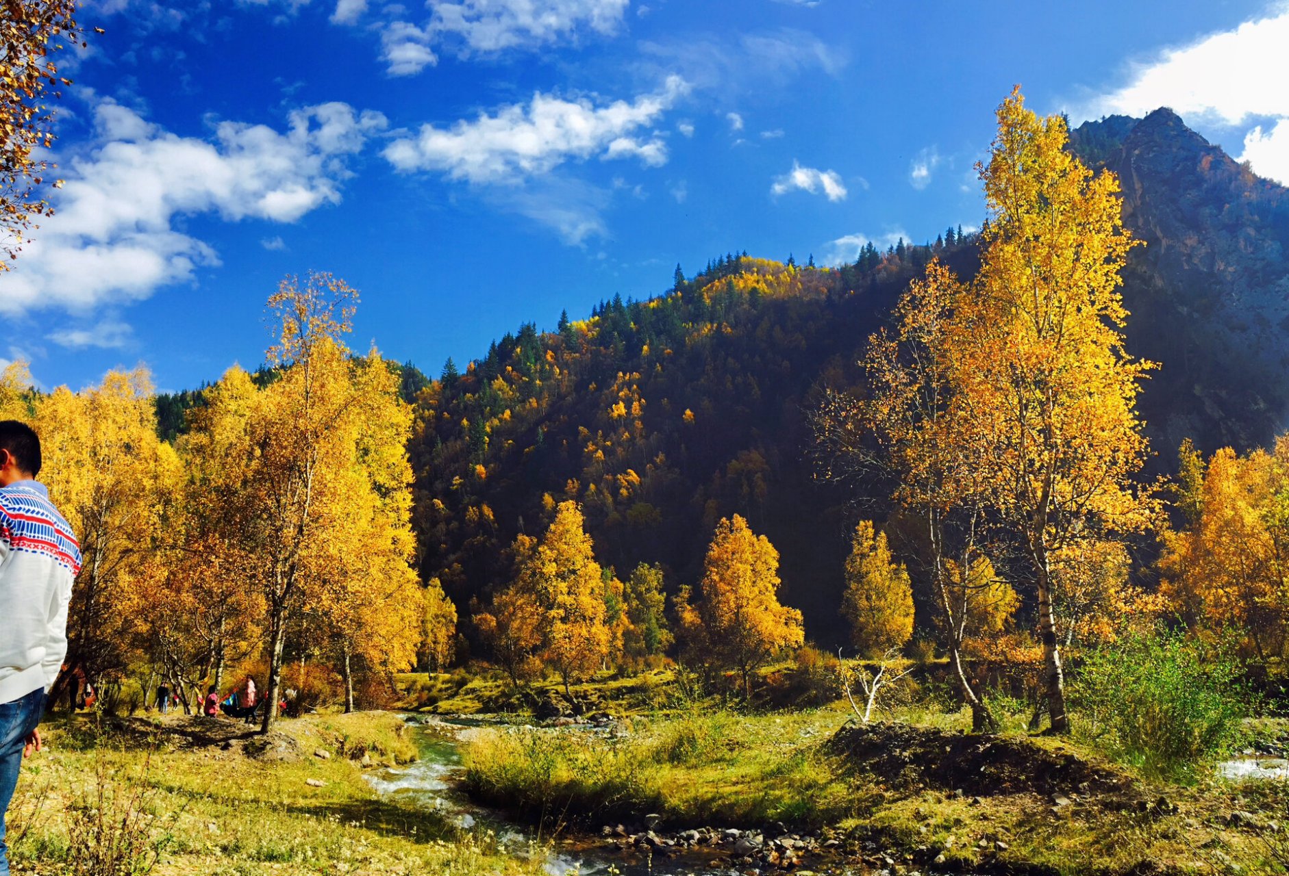 72157215重点推荐 7215青海互助北山秋景一日游 9393
