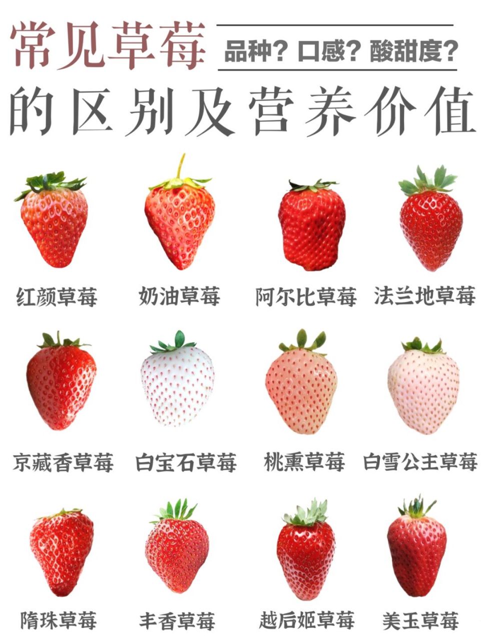 【草莓说明书】常见草莓的区别与营养价值6015 91没有人不喜欢