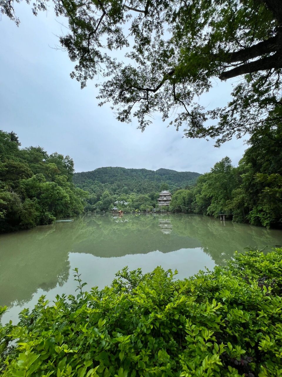 打卡逍遥湖景区 天然大氧吧 今天好像就我一个游客 那包场了 空气棒极