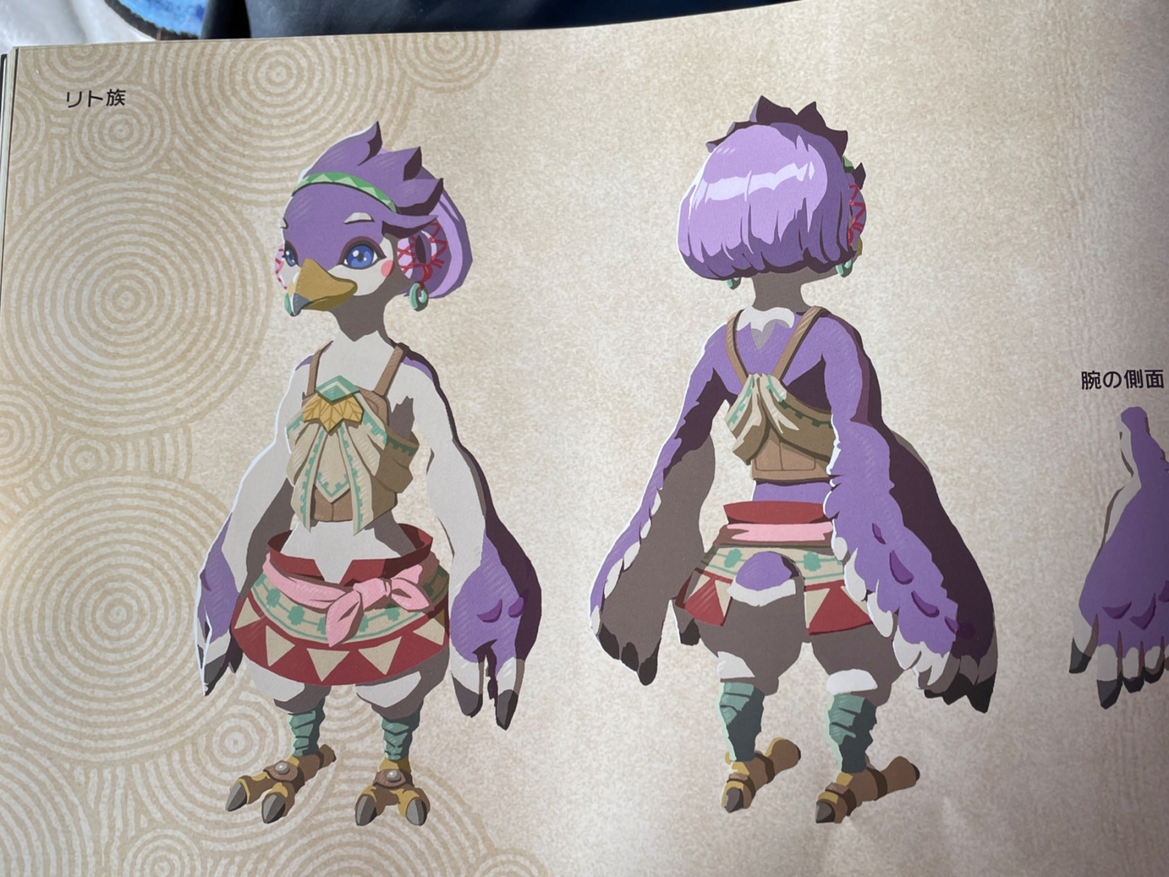 王国之泪设定集里的这个利特族!这不是兄弟岩的奇尔吗!是个少女状态!