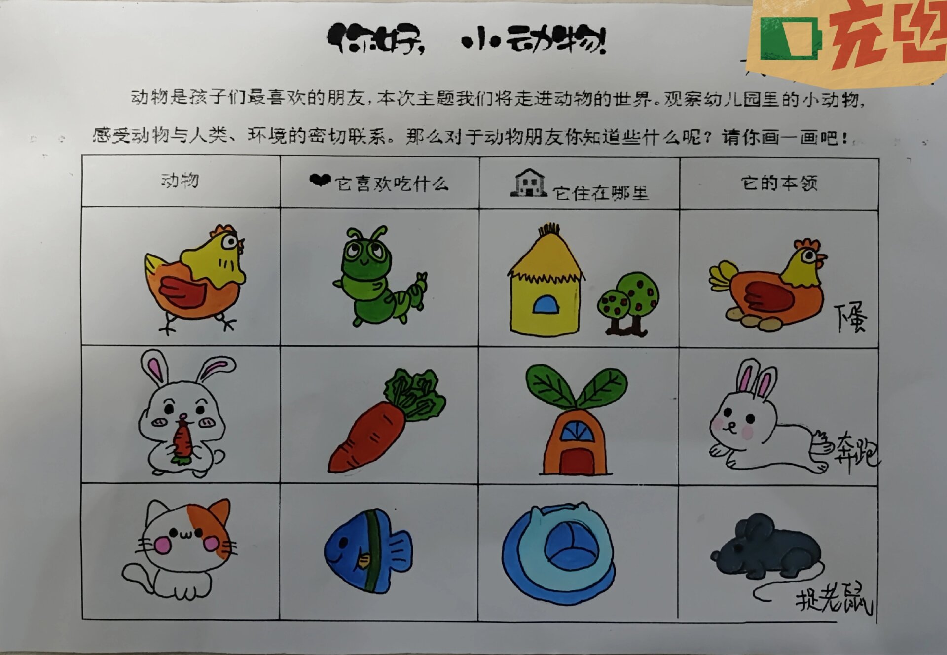 大班幼小衔接调查表图片