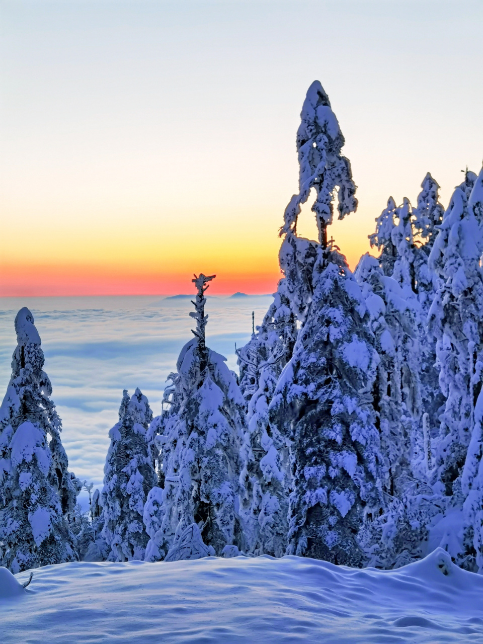 成都周边游|瓦屋山两天一夜自驾游攻略 成都市区—雅安—周公山—望鱼
