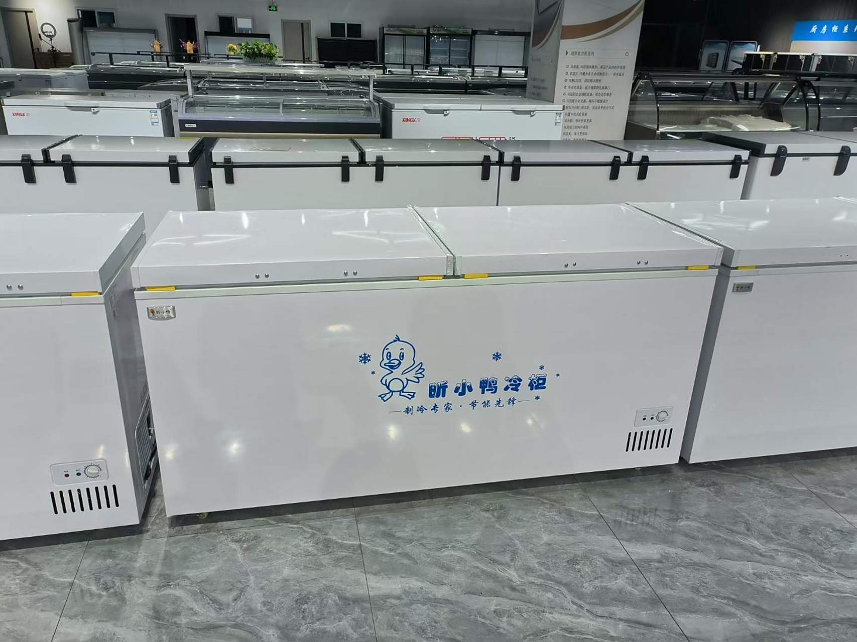 昕小鸭厂家专业生产各种商业冻柜