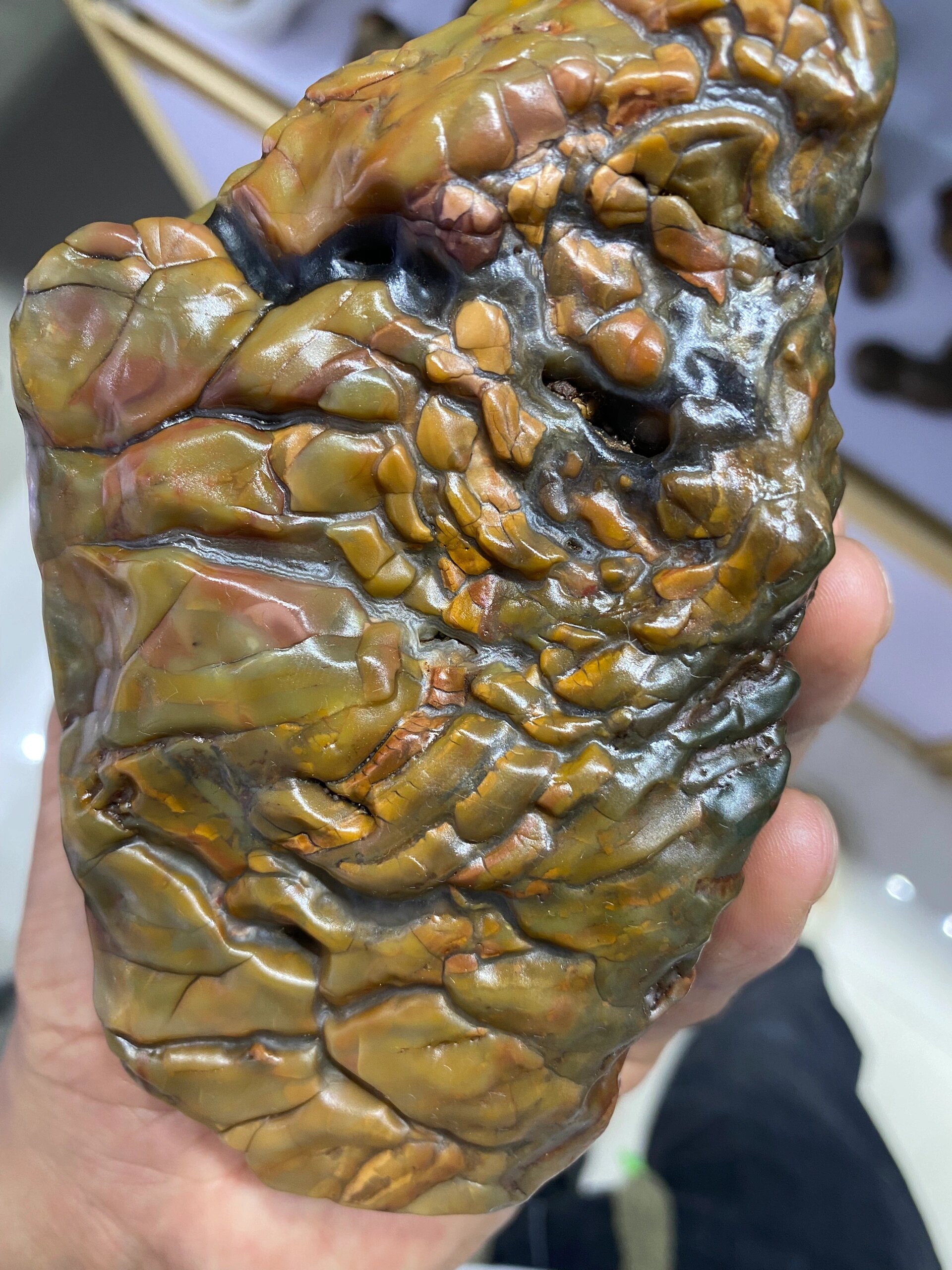 马牙石 彩玉 戈壁滩玉化彩玉 马牙石 质地油润 个头大!