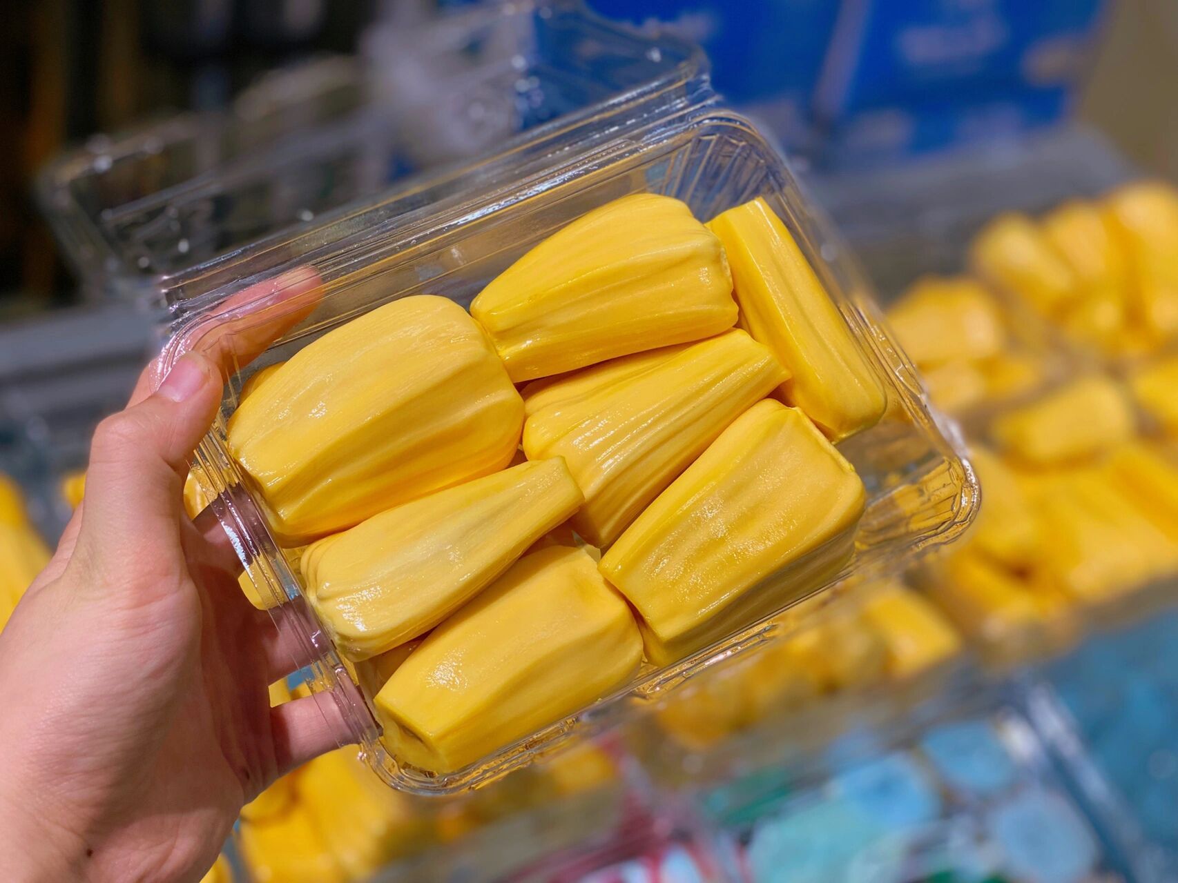 相对于黄肉菠萝蜜更脆更甜,甜度高达25度左右.