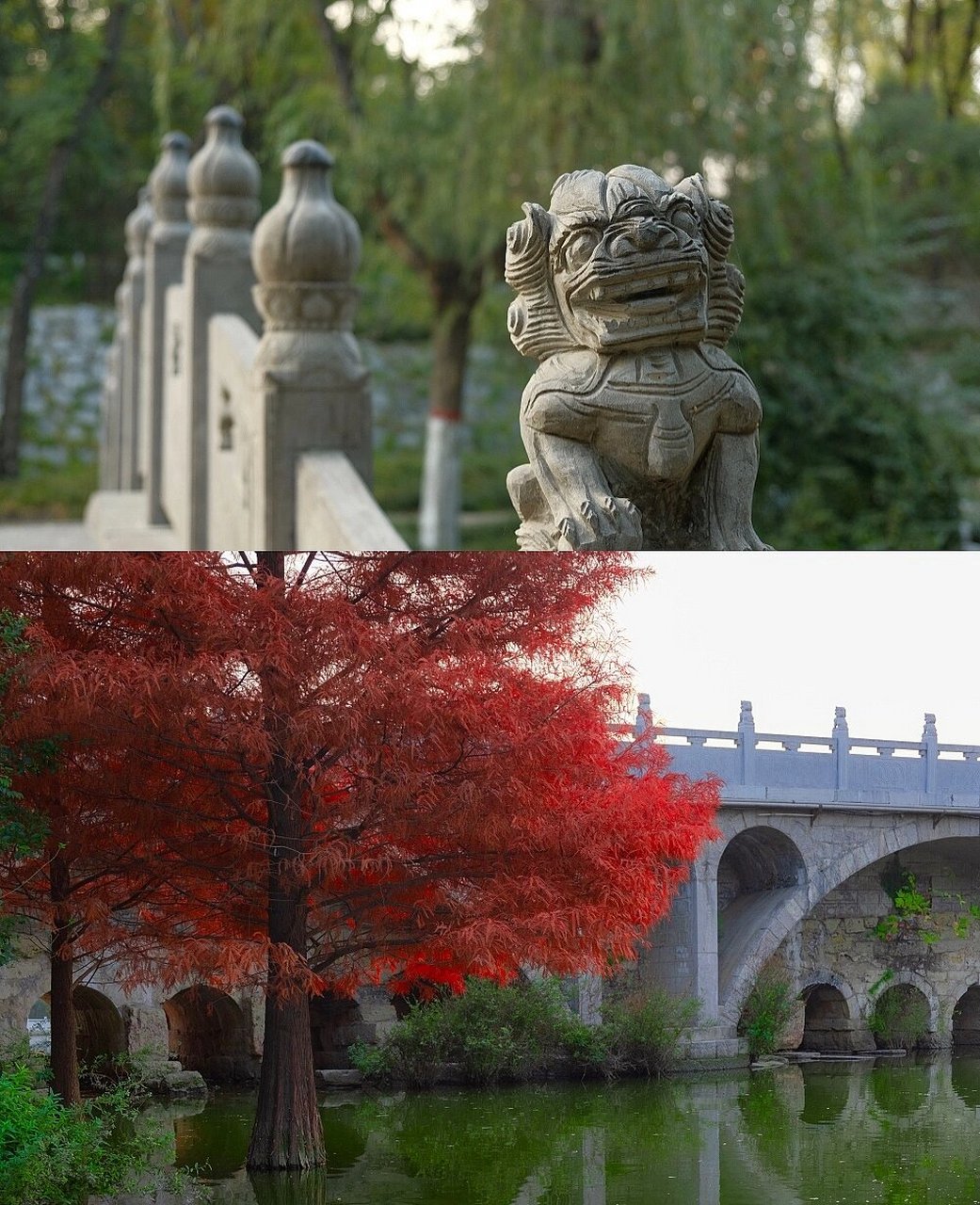 安阳洹园的秋日游记7415 我是安阳东部居民 所以对彰德路以西不是