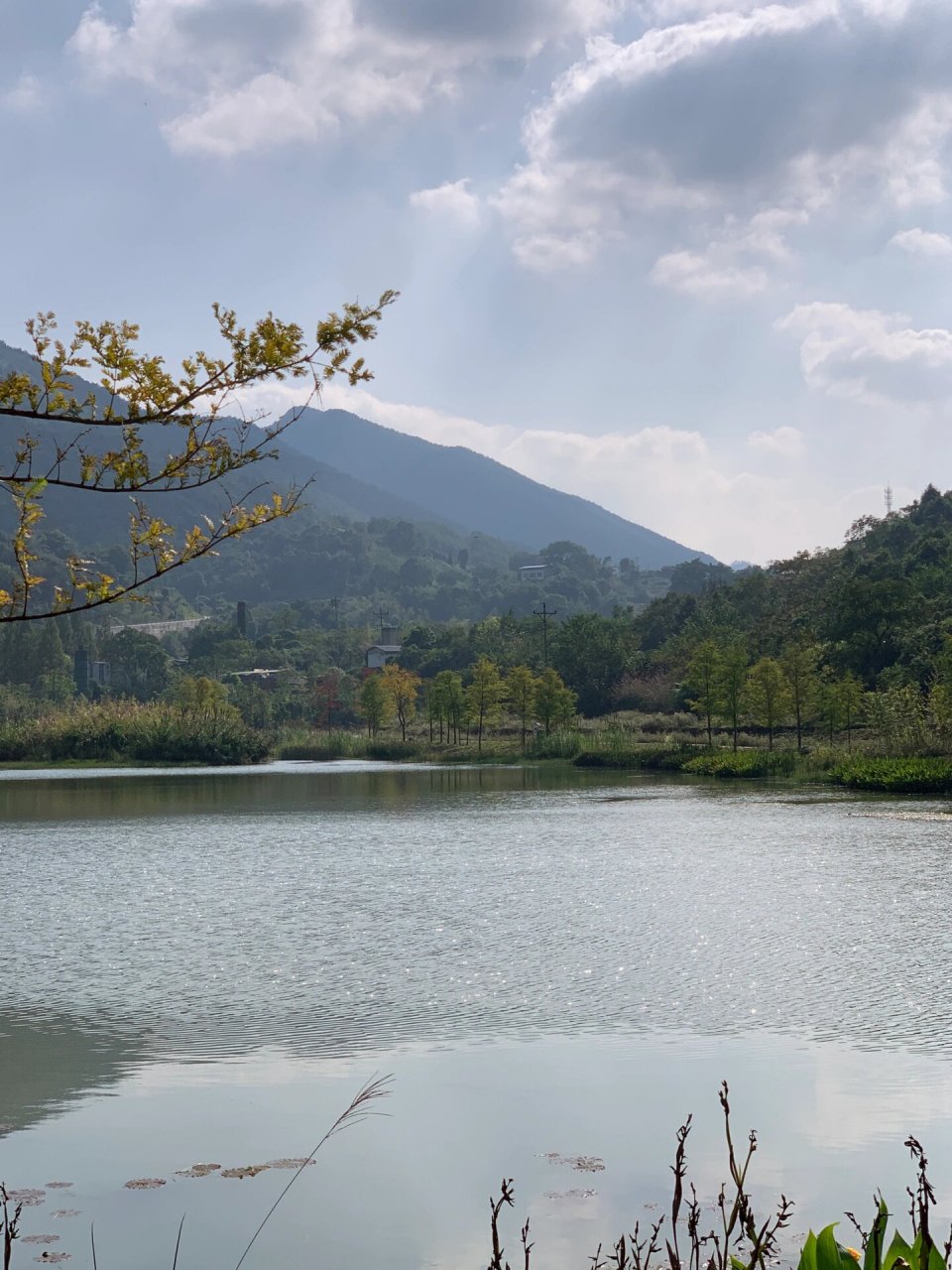 北碚柏林村赏秋|人少风景好主城小众露营地   	 地址99:北碚澄江镇