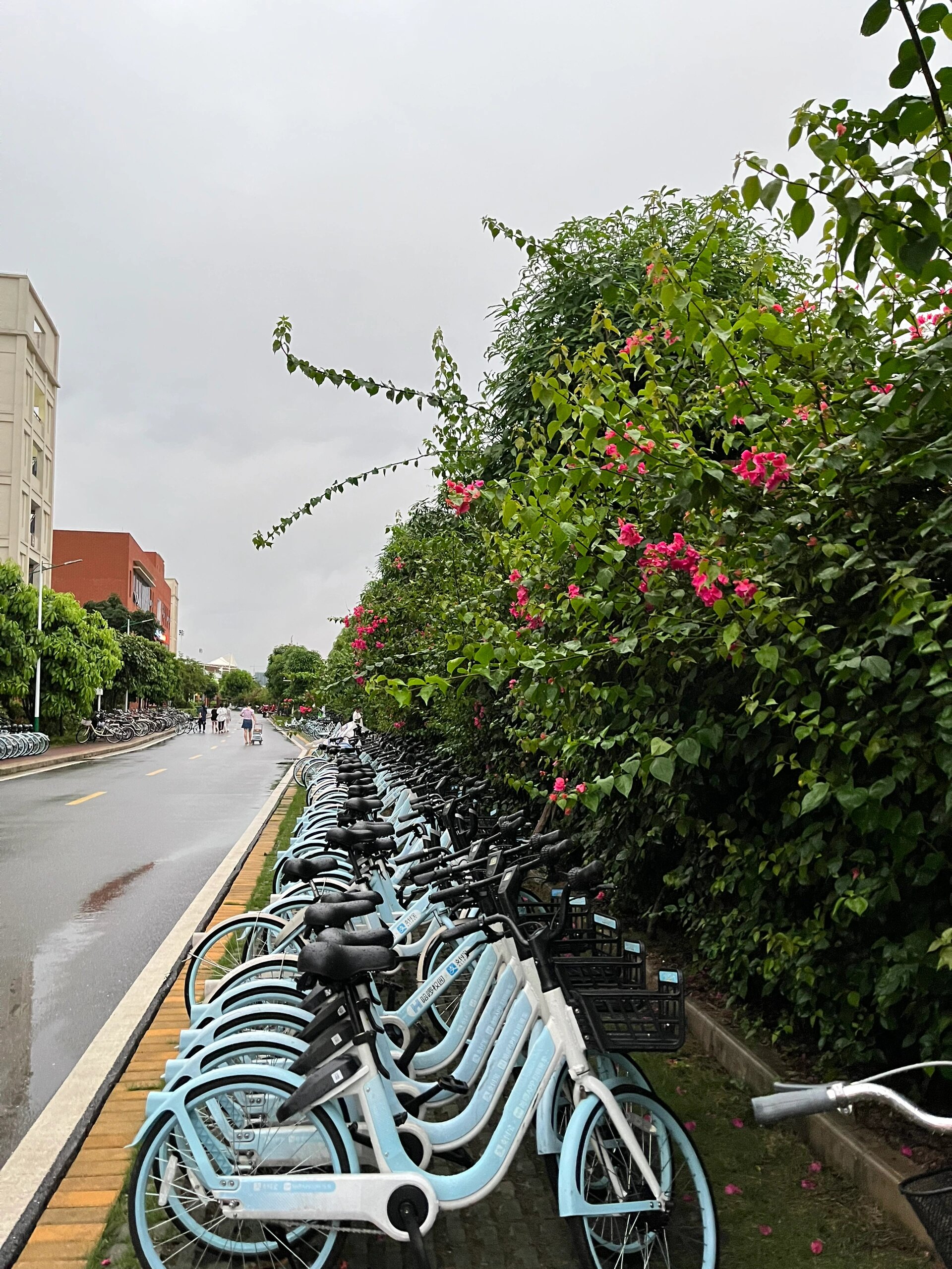 南宁师范大学武鸣校区
