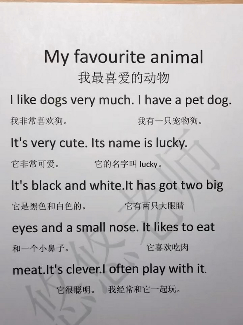 英语作文—我最喜欢的动物