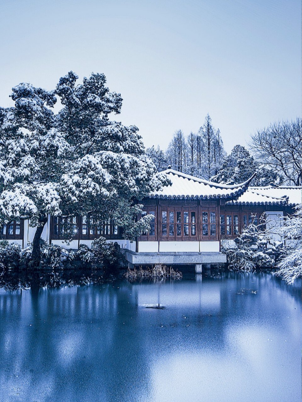 杭州城市雪景图片