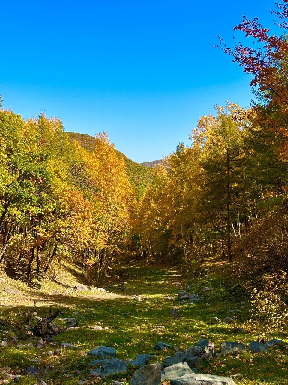 攻略 | 人少景美赤峰美林谷自驾赏秋指南 国庆去乌兰布统参加堵车环节