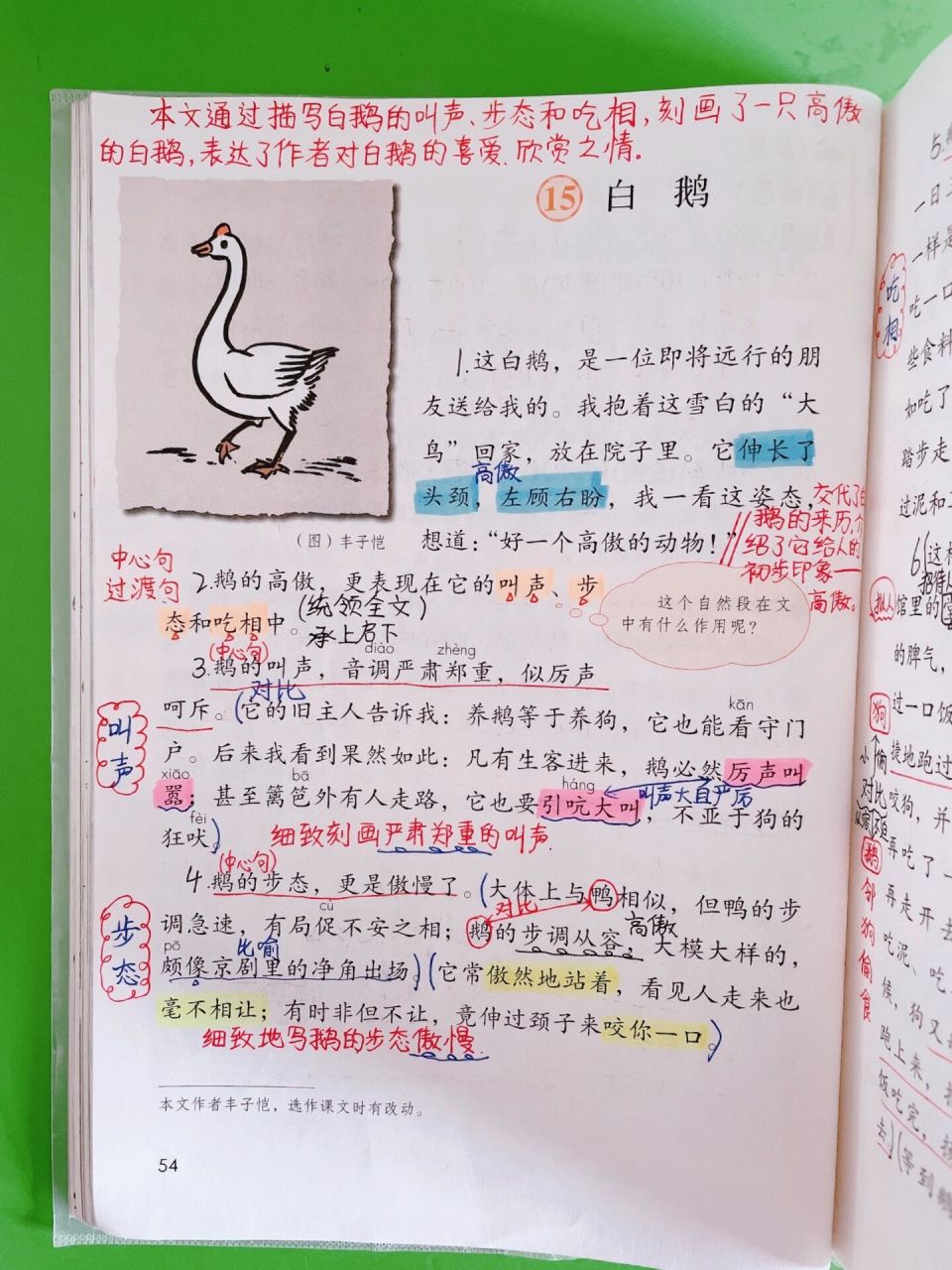 四年级下册语文备课 15.《白鹅》