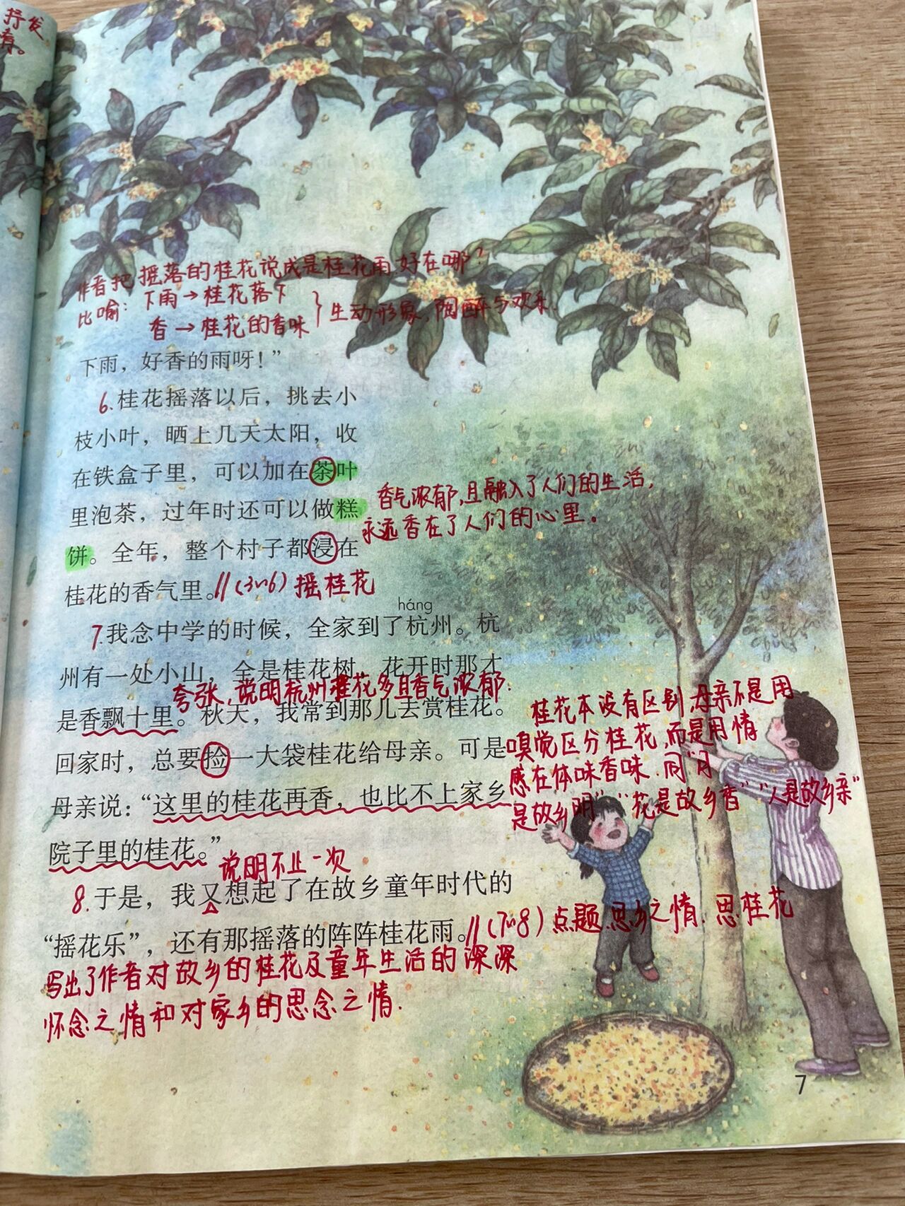 部编版五上 3《桂花雨》课堂笔记