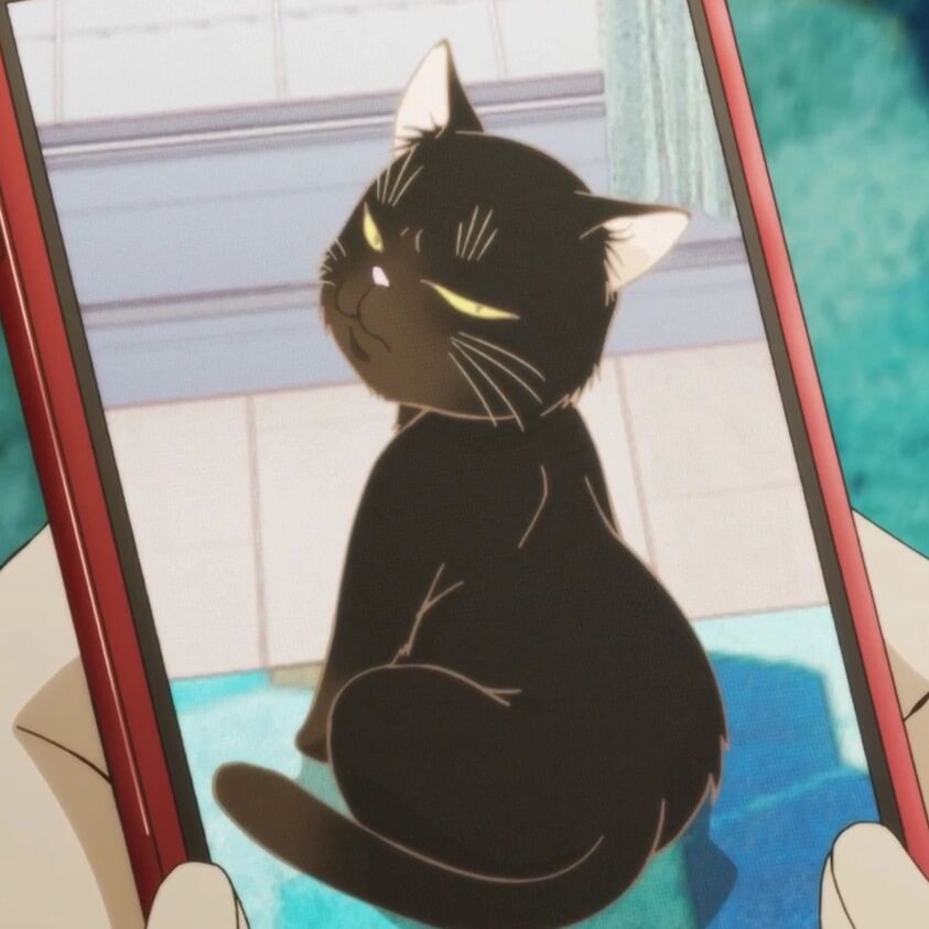 能干的猫今天也忧郁头像