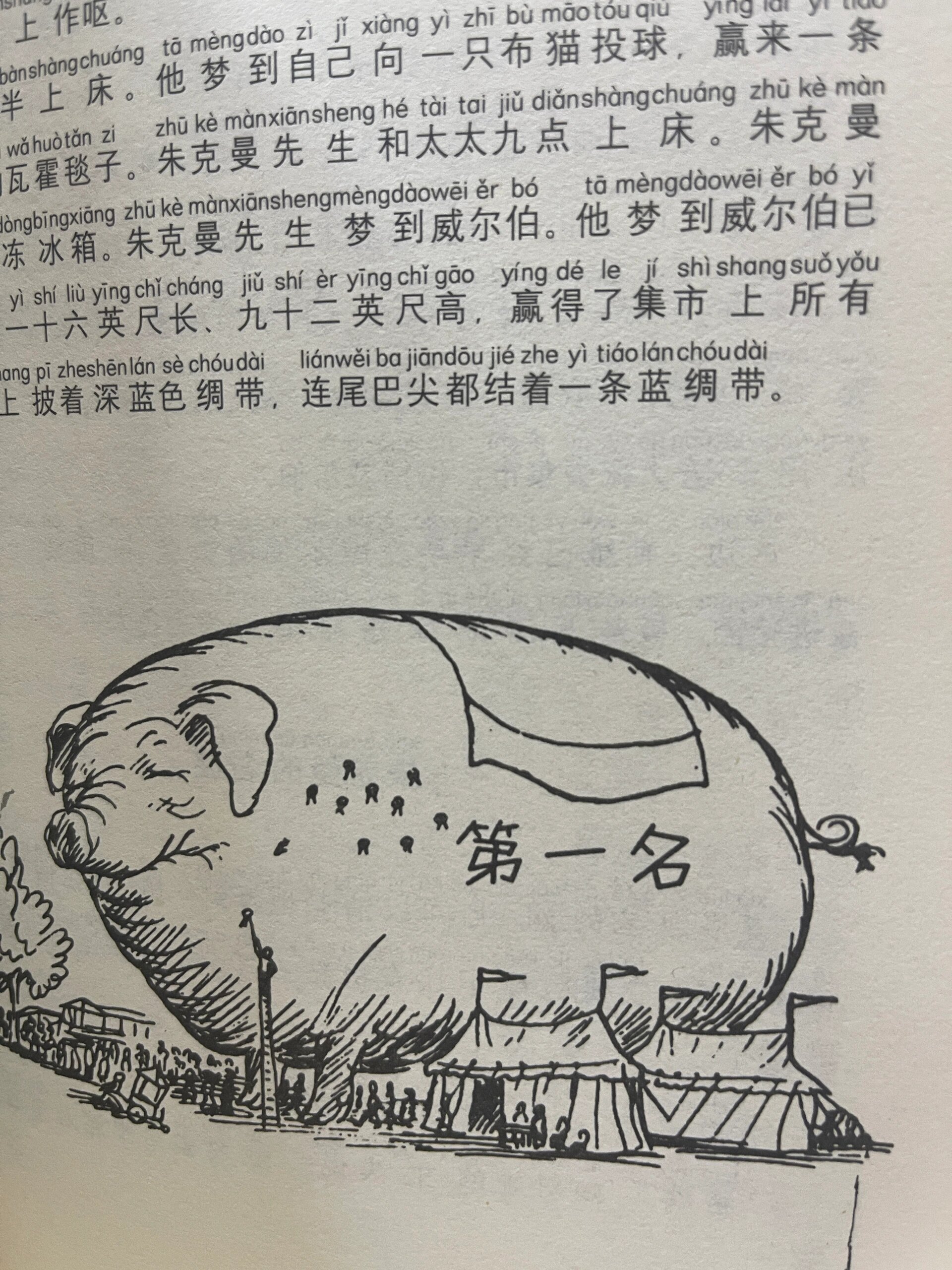《夏洛的网》 这本书的主人公是一只名叫威尔伯的小猪,它在出生时差点