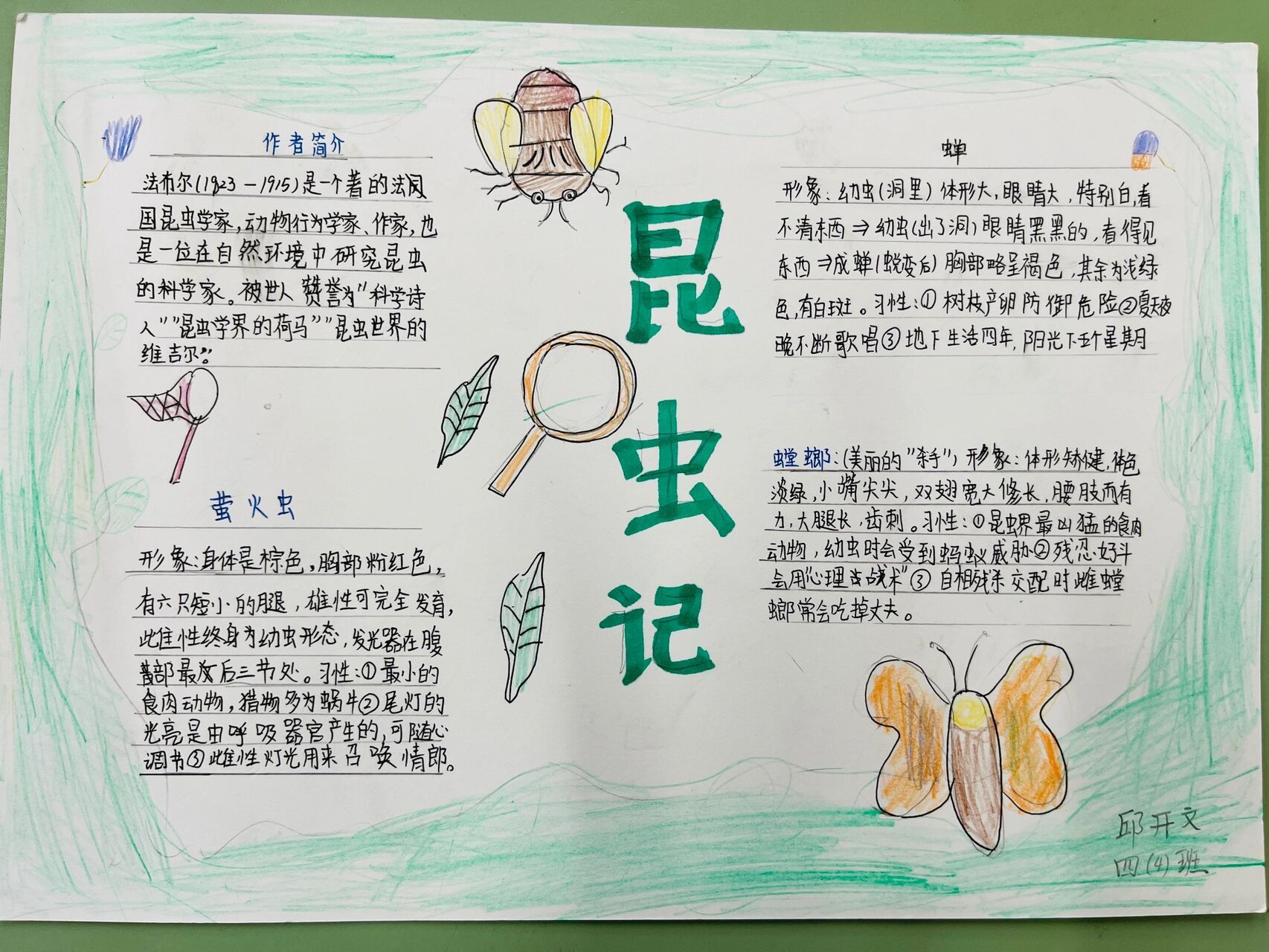 读书小报 《昆虫记》🪲