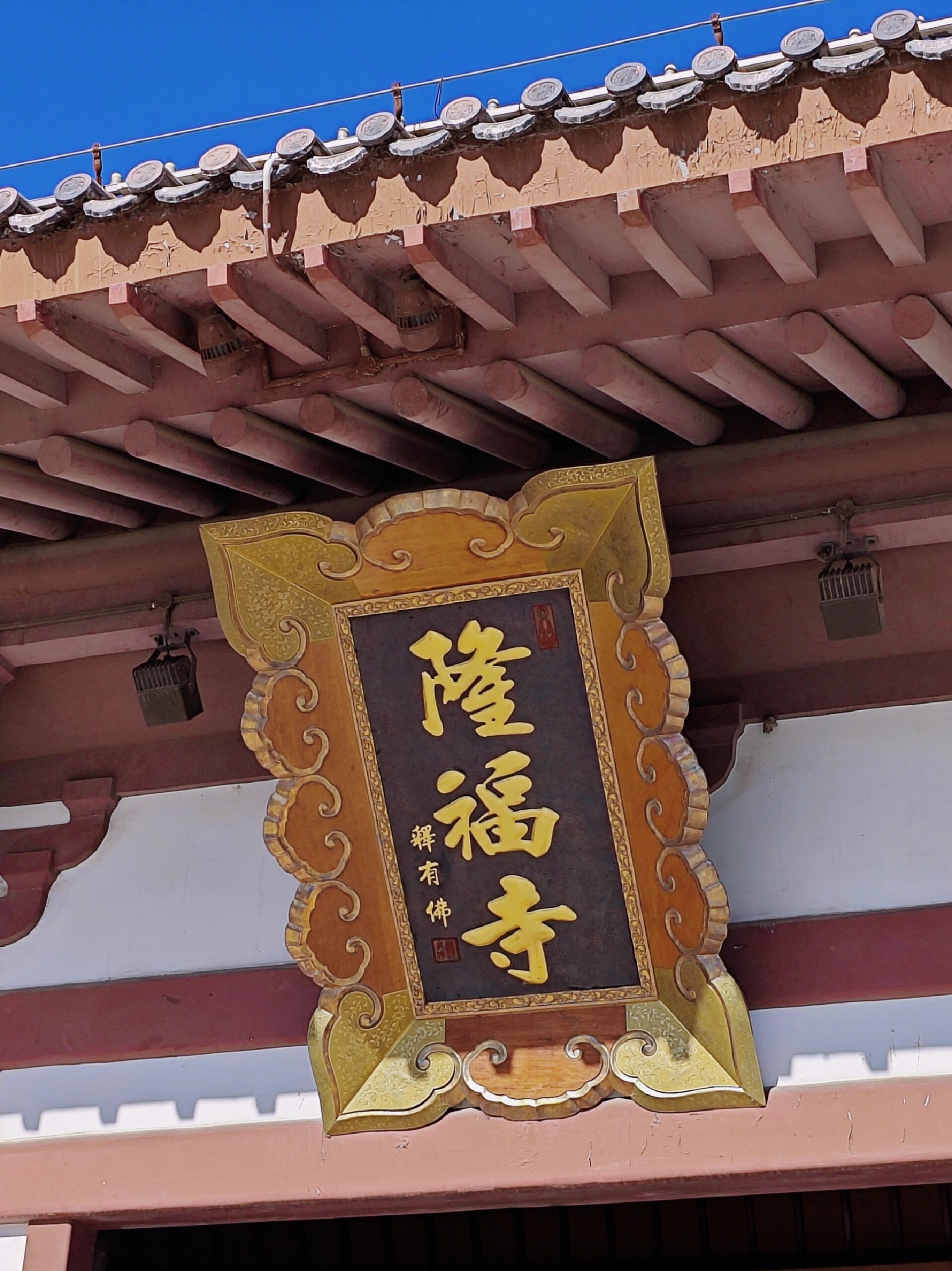 冬日游|廊坊隆福寺&游玩拍照攻略