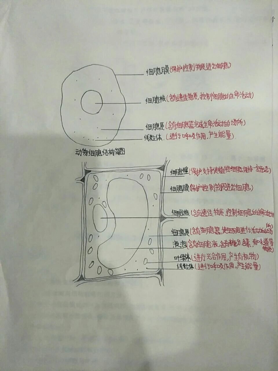 生物课网课效果