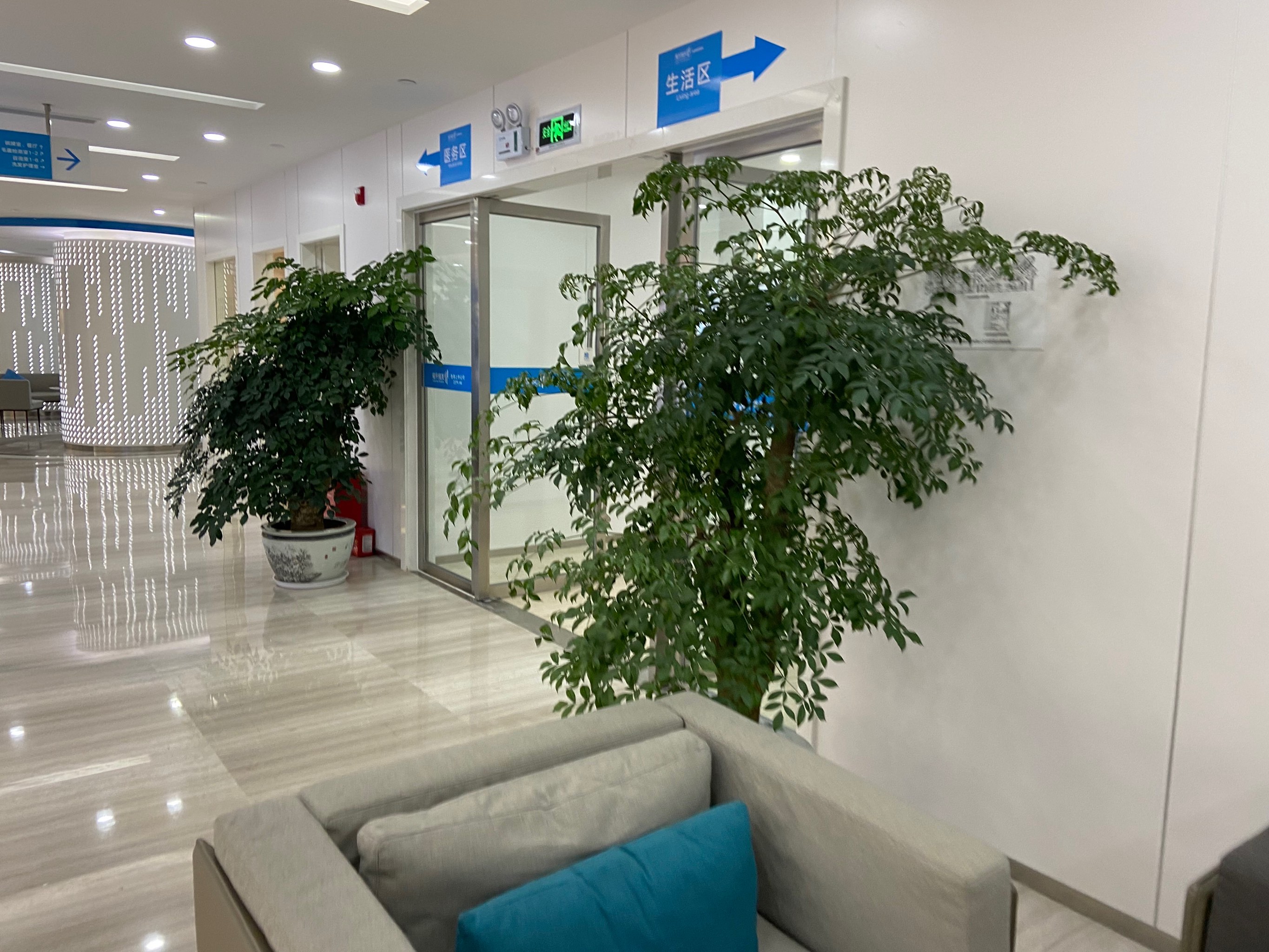 武汉雍禾植发医院植发(武汉雍禾医疗上班怎么样)