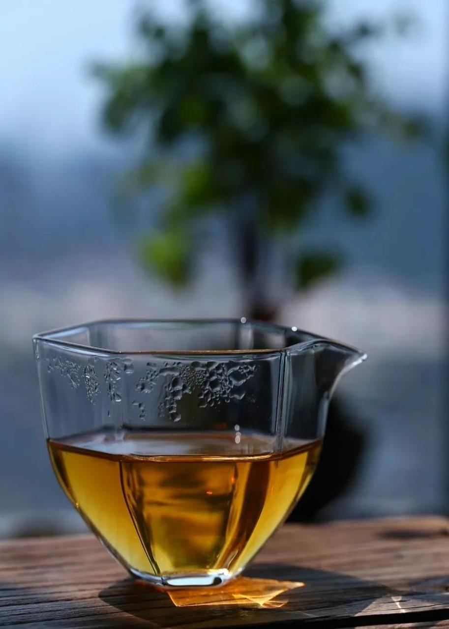 乌龙茶是半发酵茶,茶香浓郁,口感醇厚,是秋季品茶的不二之选