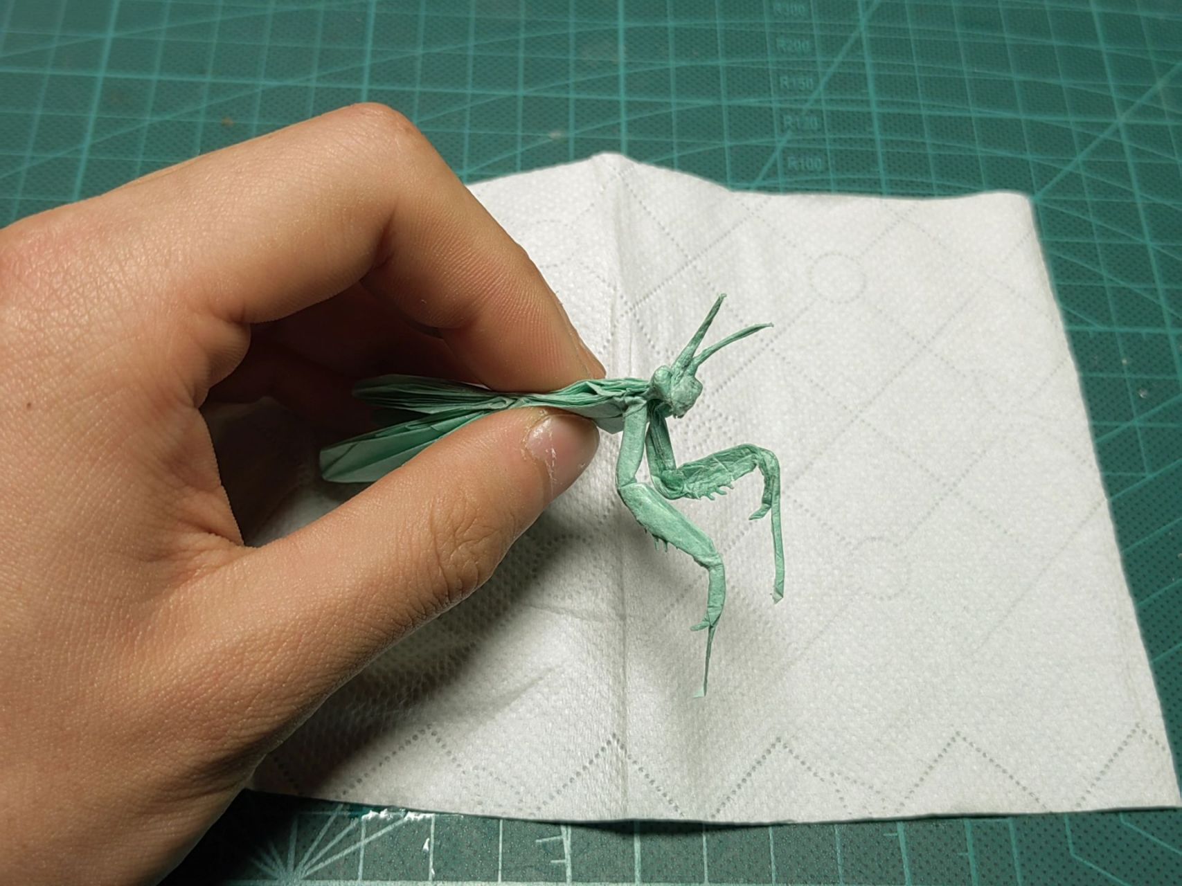 超可爱逼真的折纸螳螂! 设计:神谷哲史 折拍:我 用纸:20.