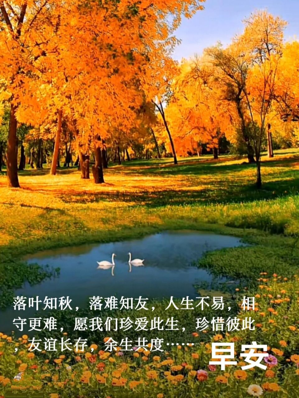 落难知友,人生不易,相守更难,愿我们珍爱此生,珍惜彼此,友谊长存,余生