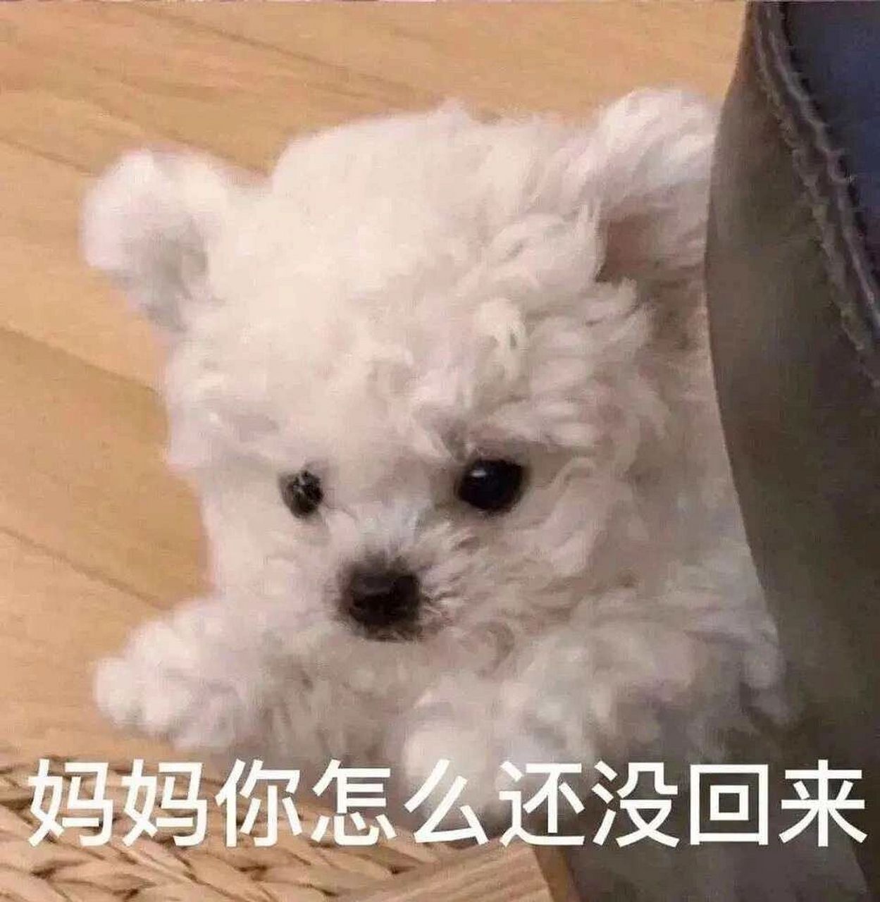 一些想妈妈的表情包 妈妈永远是我内心深处最爱的人