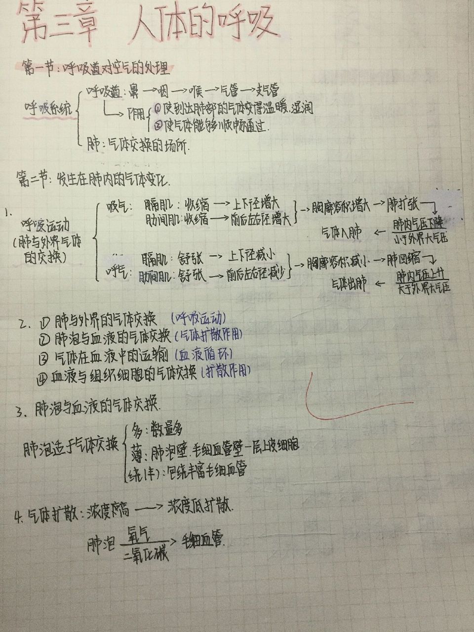 七下生物思维导图第三章 知识点整理