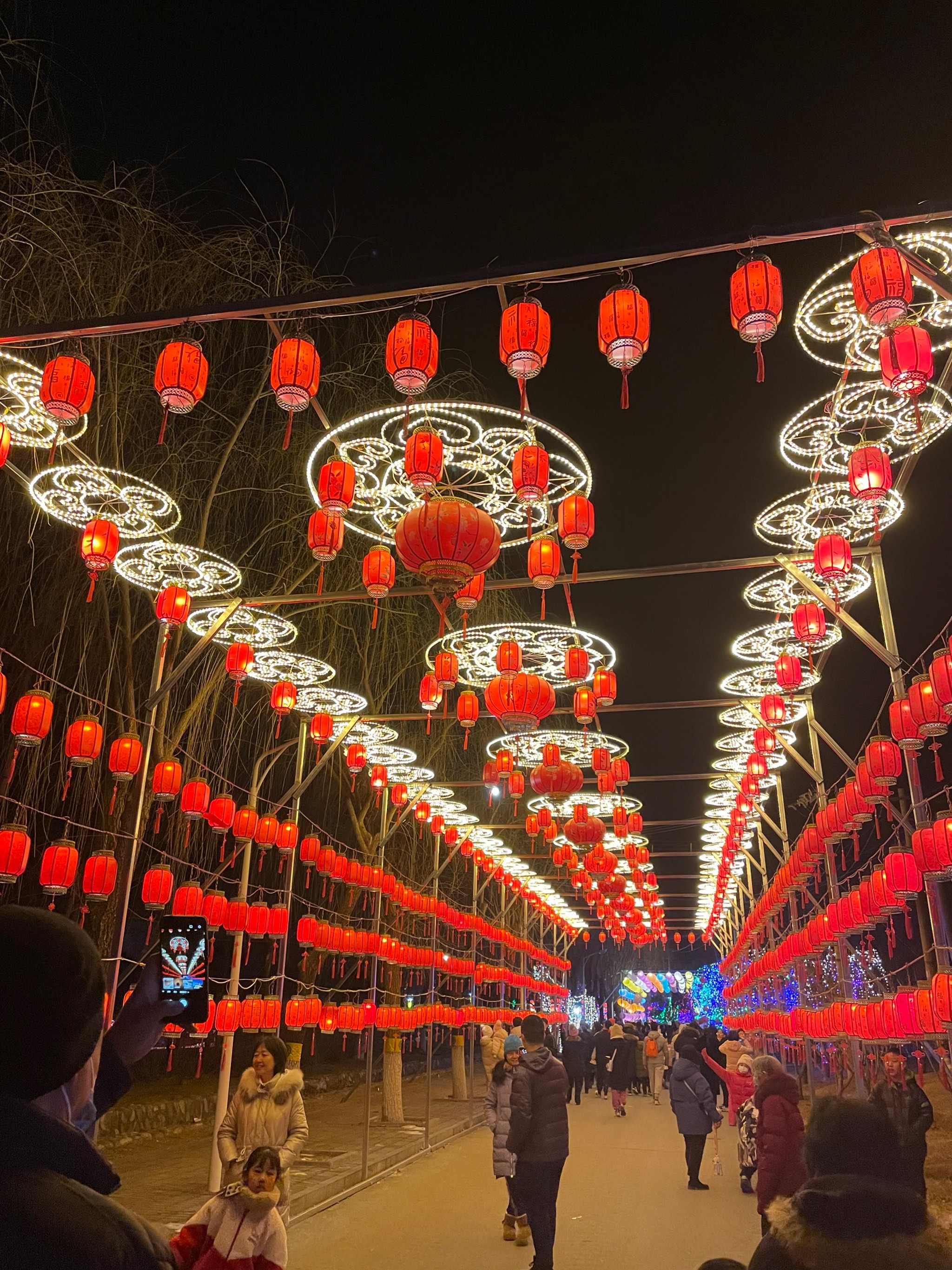 青龙湖灯会门票图片