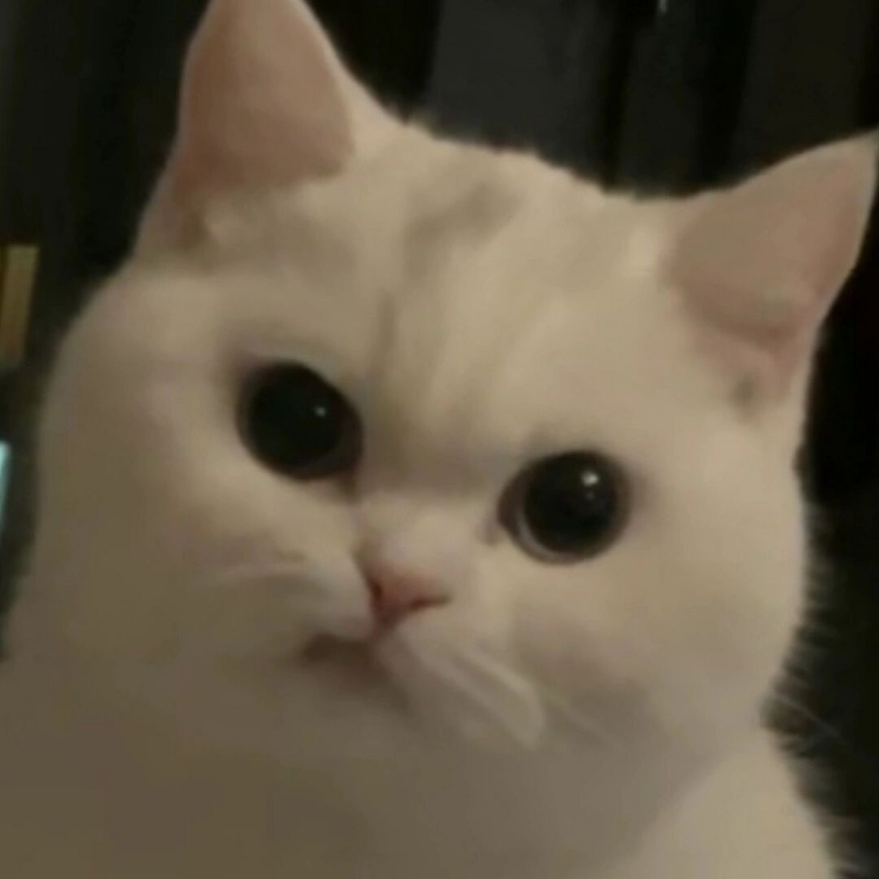 一些生气(打男朋友)表情包    适用于让对象搞清楚家庭地位 但不仅限