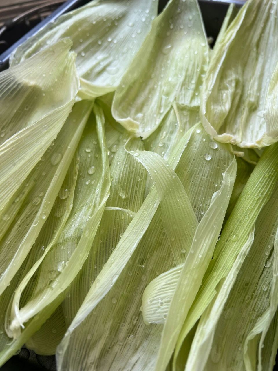 玉米外衣可以给幼兔吃吗?