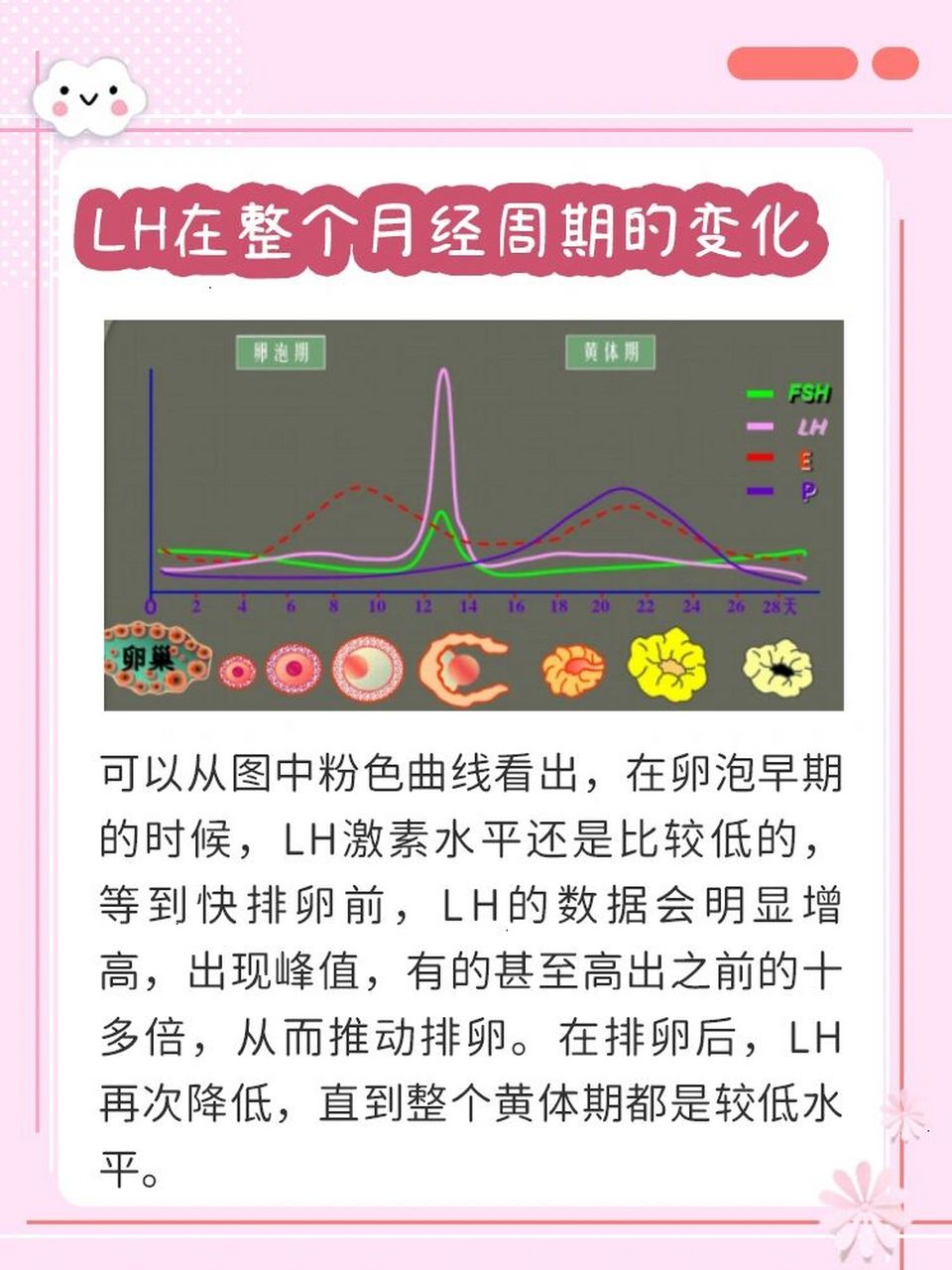 lh激素先了解一下93 9494如何通过lh变化准确找到排卵日?