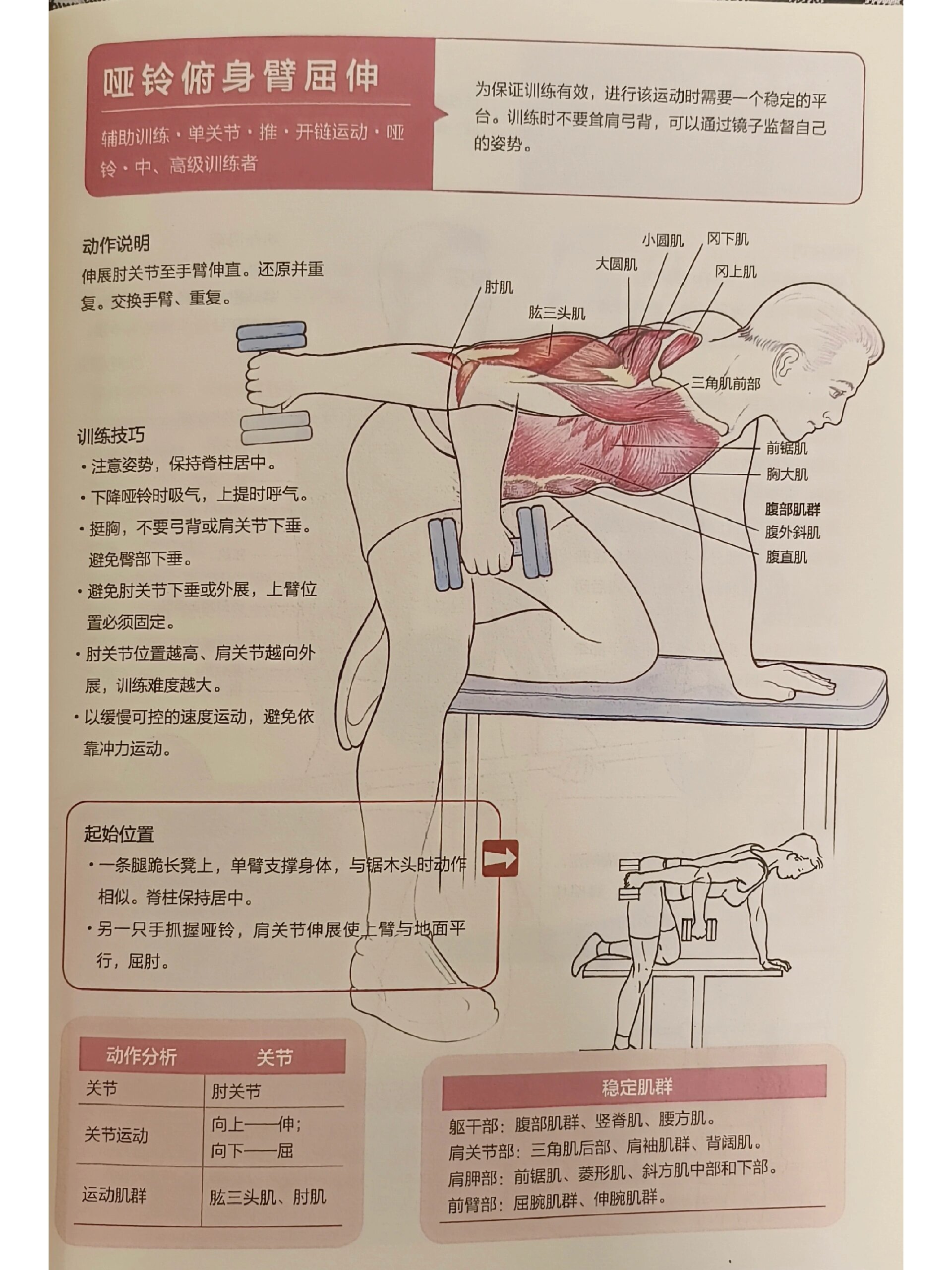 臂屈伸标准动作图片