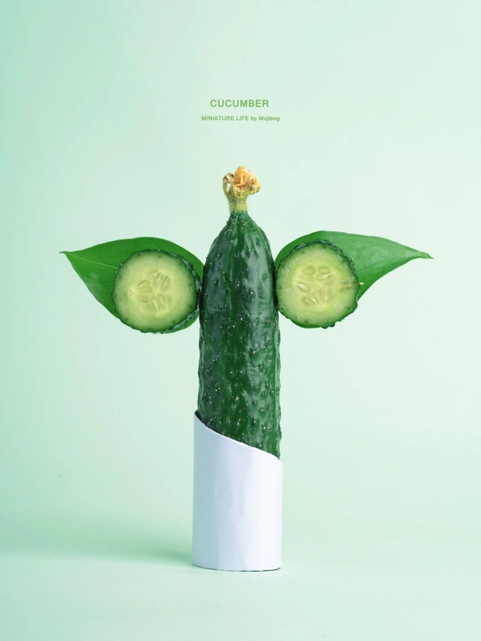 蔬菜之美·黄瓜06·日常果蔬美食创意静物摄 那天去超市,刚好看到