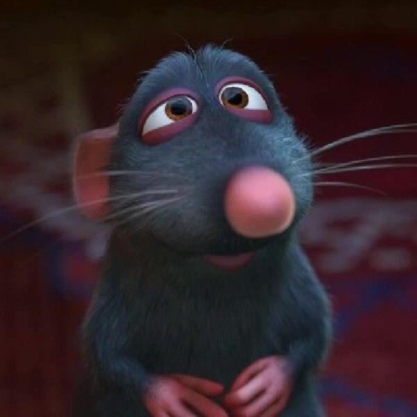 分享一下我爱的老鼠头像