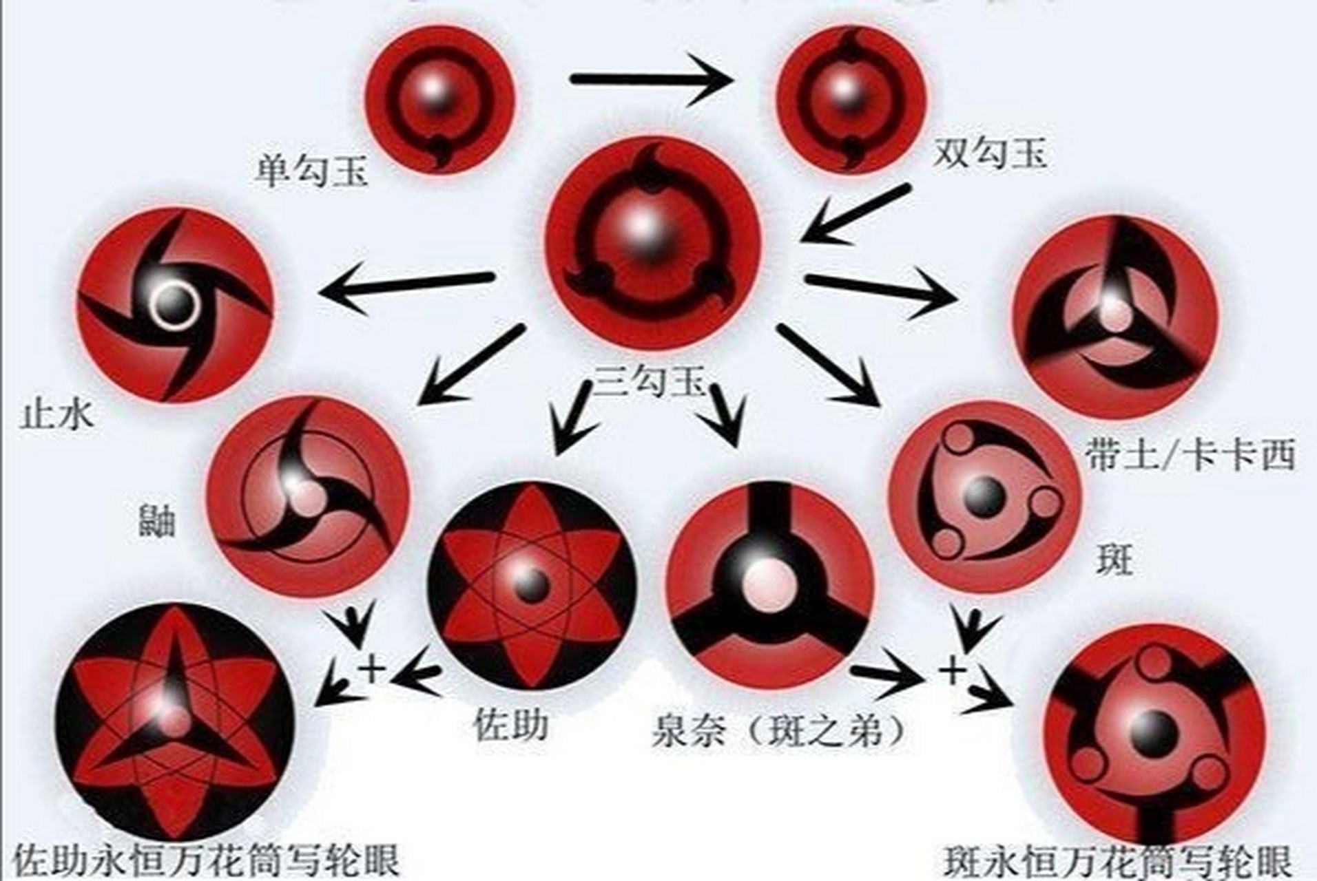 血轮眼 进化图片