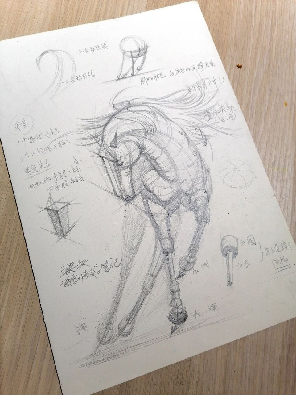 96超详细!简单易学的帅马结构素描