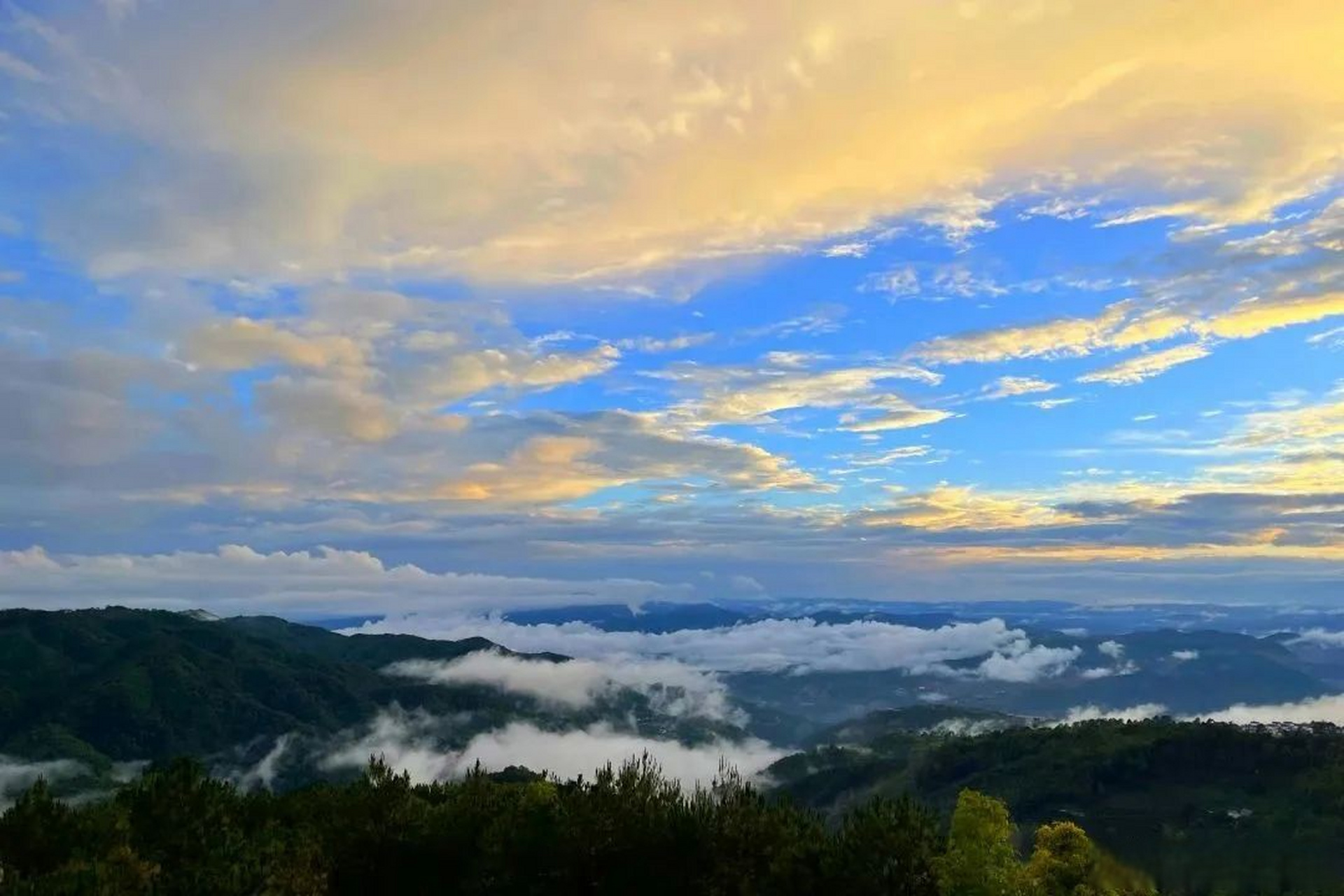 保山旅行# 老虎埡口位於大田壩鎮新寨村,置身於此,清晨的山澗濃霧四