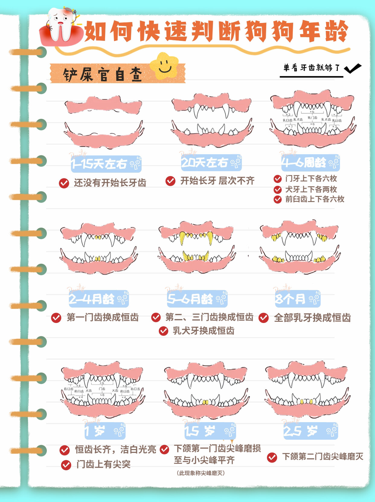 狗牙齿看年龄图片图片