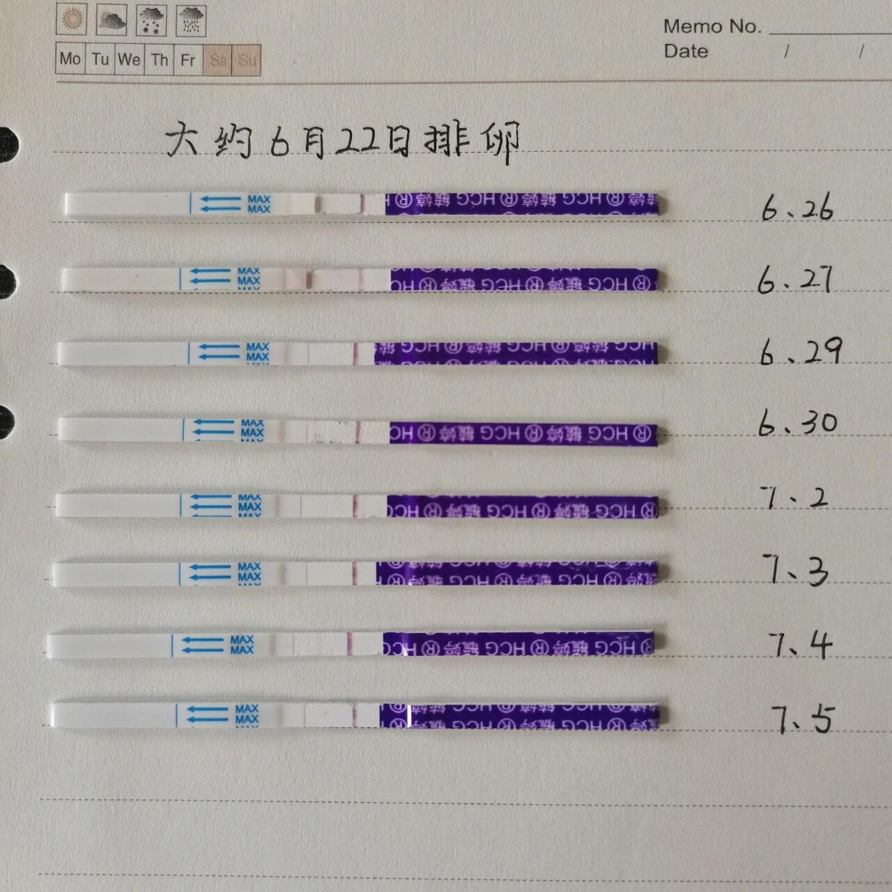 大衛試紙與毓婷試紙使用效果圖 大概6月22日排卵,使用毓婷一直沒有