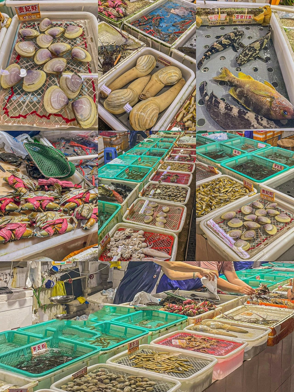 珠海湾仔海鲜街99安利这家27年老牌加工店 作为一名珠海本地人 真的